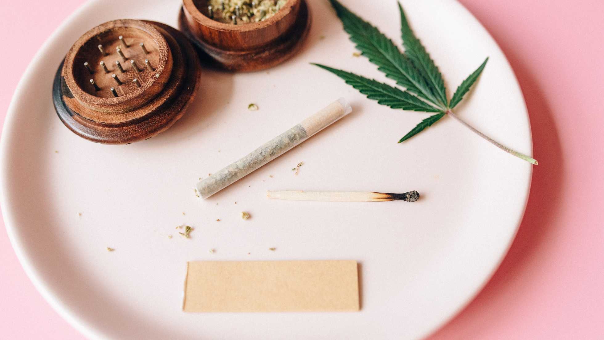 CBD ou CBG : quel cannabinoïde choisir ? - HEMPI - CBD Shop