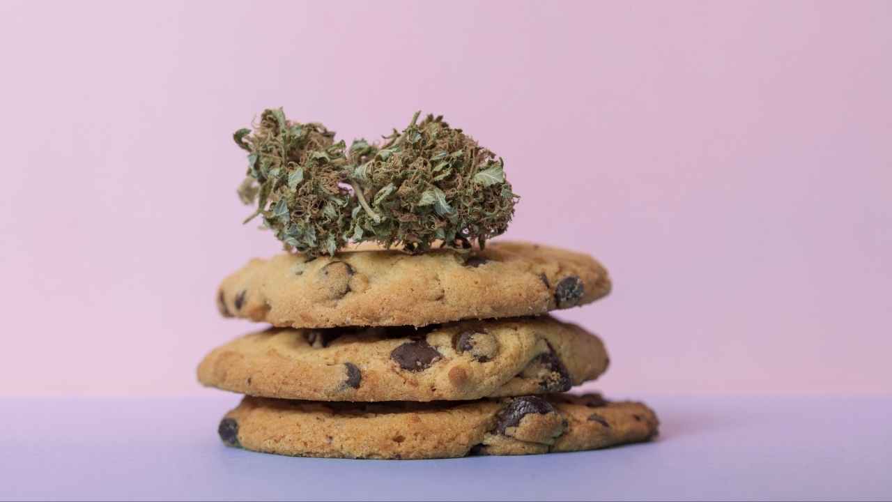 recette space cookies cbd cannabis