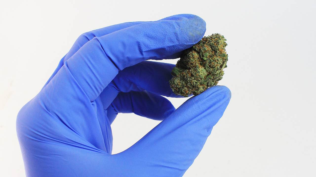 Le guide complet du THC : effets, bienfaits, dangers.
