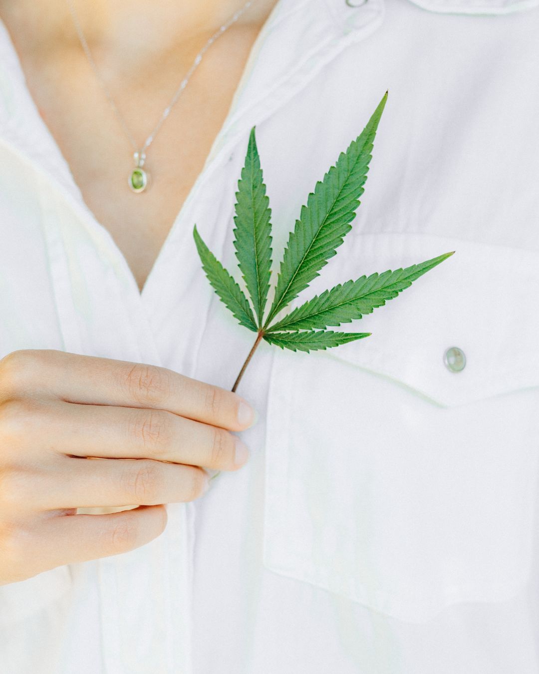 cbd systeme endocannabinoide
