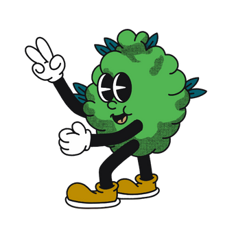 cannabidiol en ligne