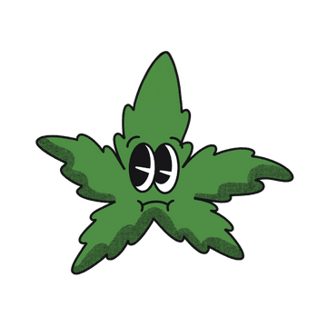 magasin de cannabidiol