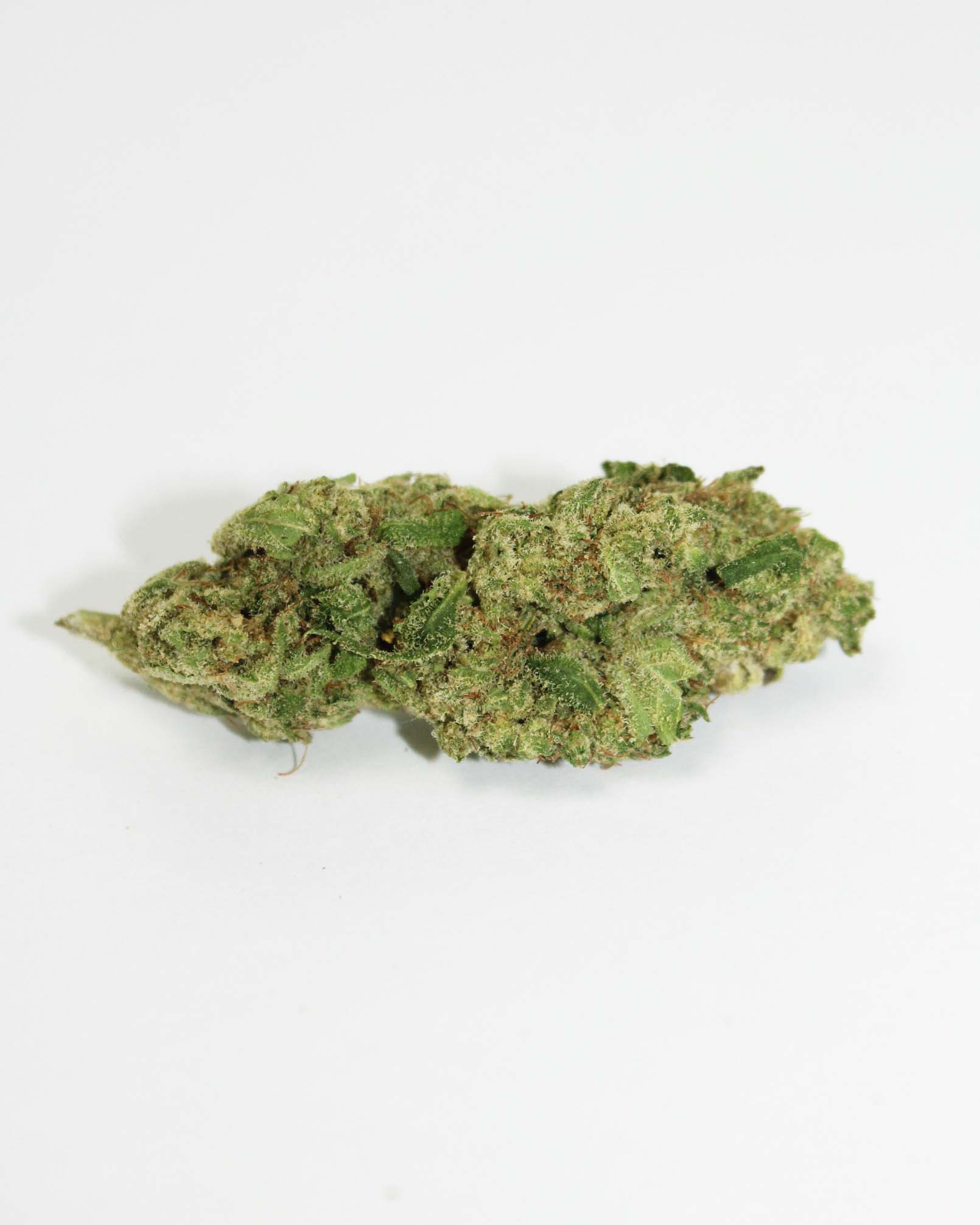 gusher fleurs de cbd puissantes