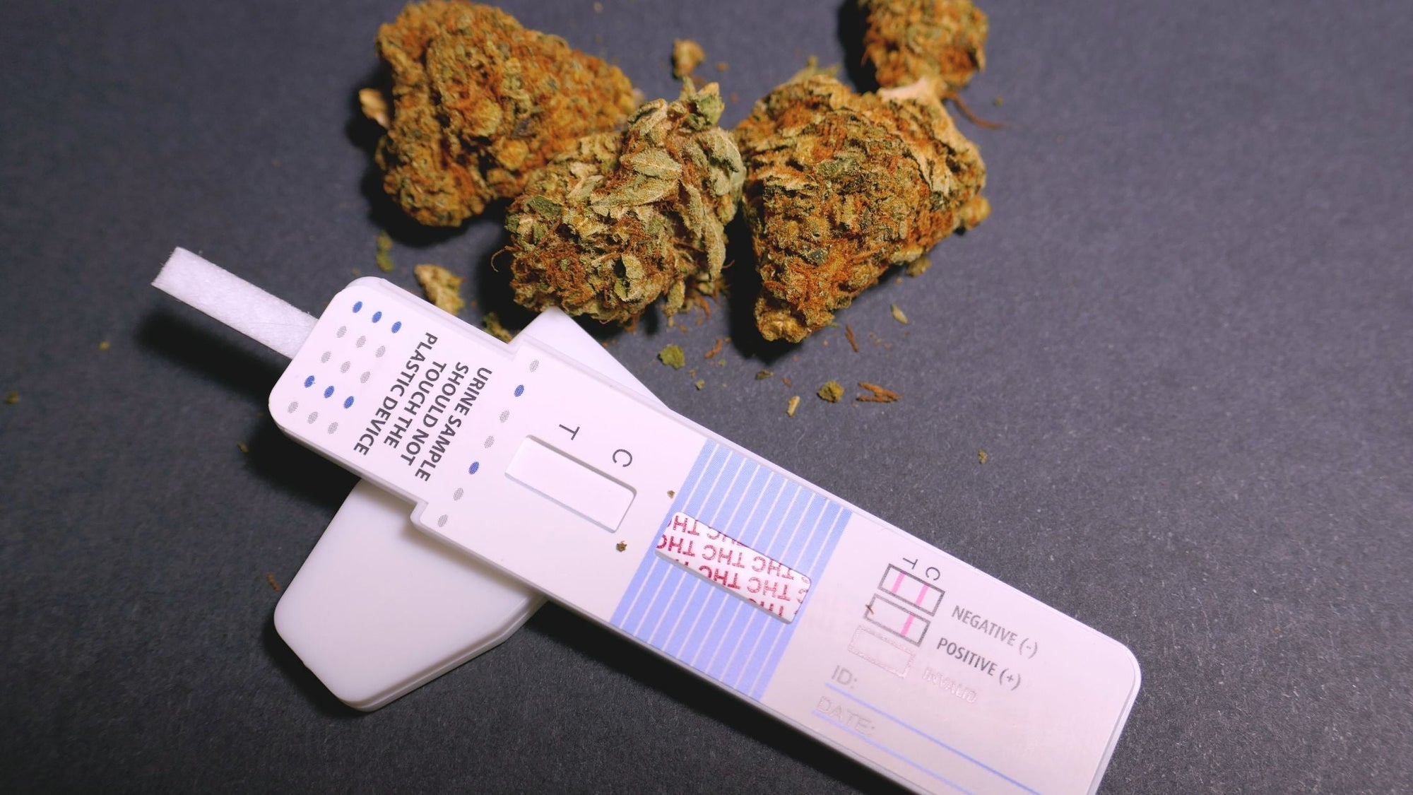 CBD, conduite automobile, test salivaire : on vous rpond ! Hempi CBD, conduite automobile, test salivaire : on vous rpond ! Hempi