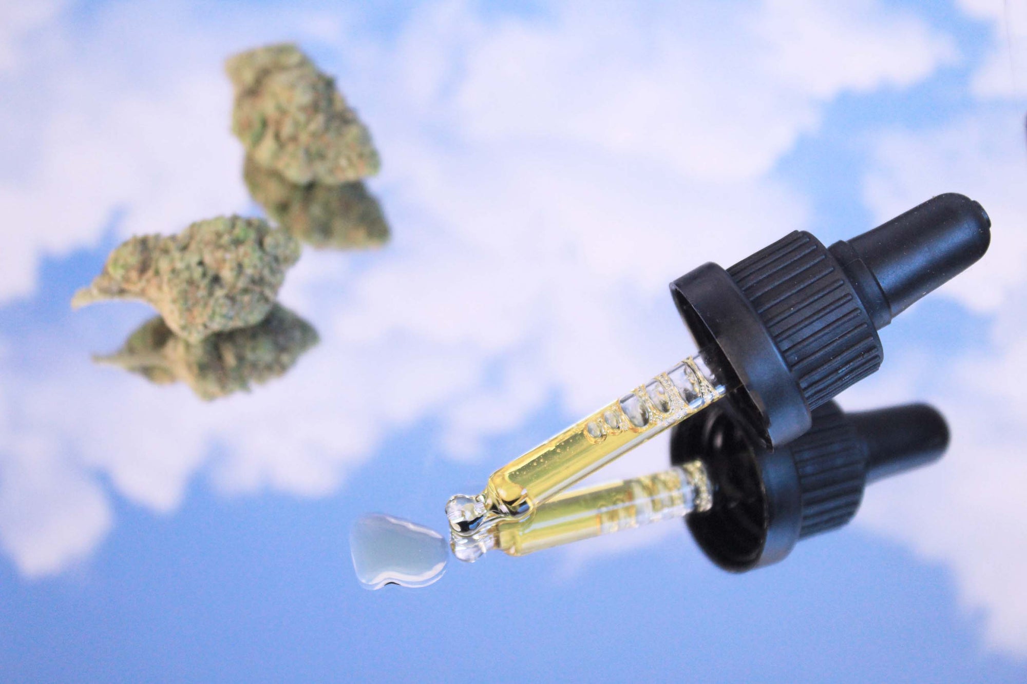 CBD : tout savoir sur ses bienfaits.