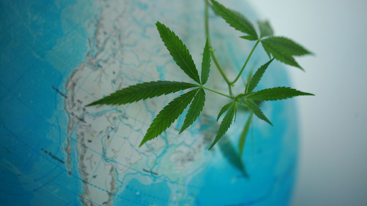 Les pays où le cannabis est légal en 2026 : guide mondial