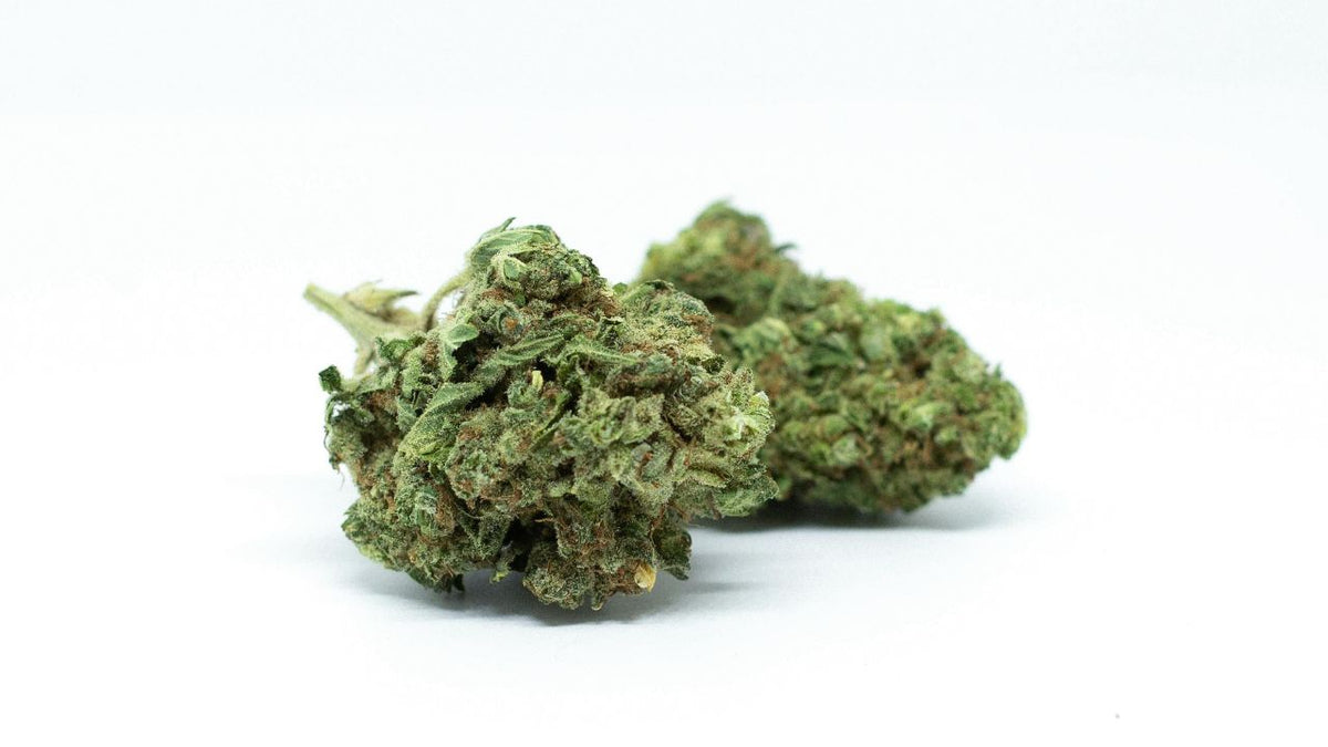 Comment repérer une fleur CBD de synthèse ?