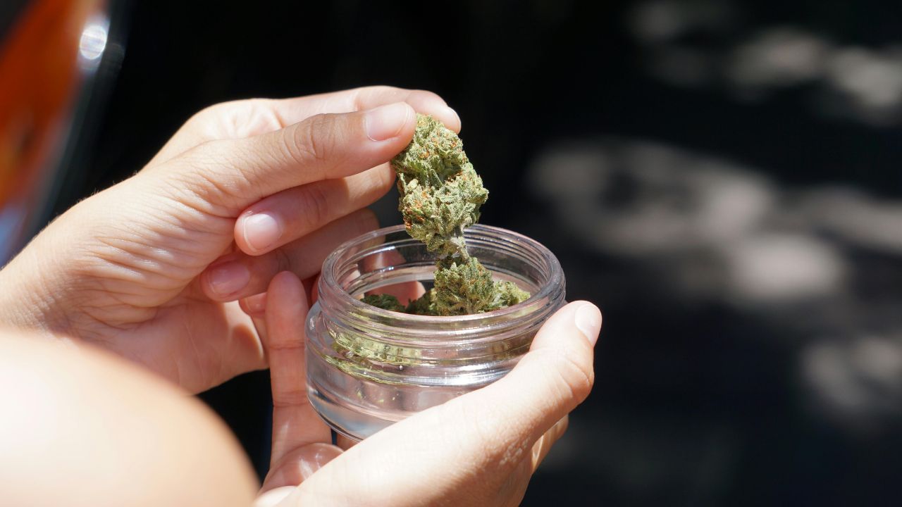Les avantages du CBD en vrac pour les détaillants : optimisez votre rentabilité