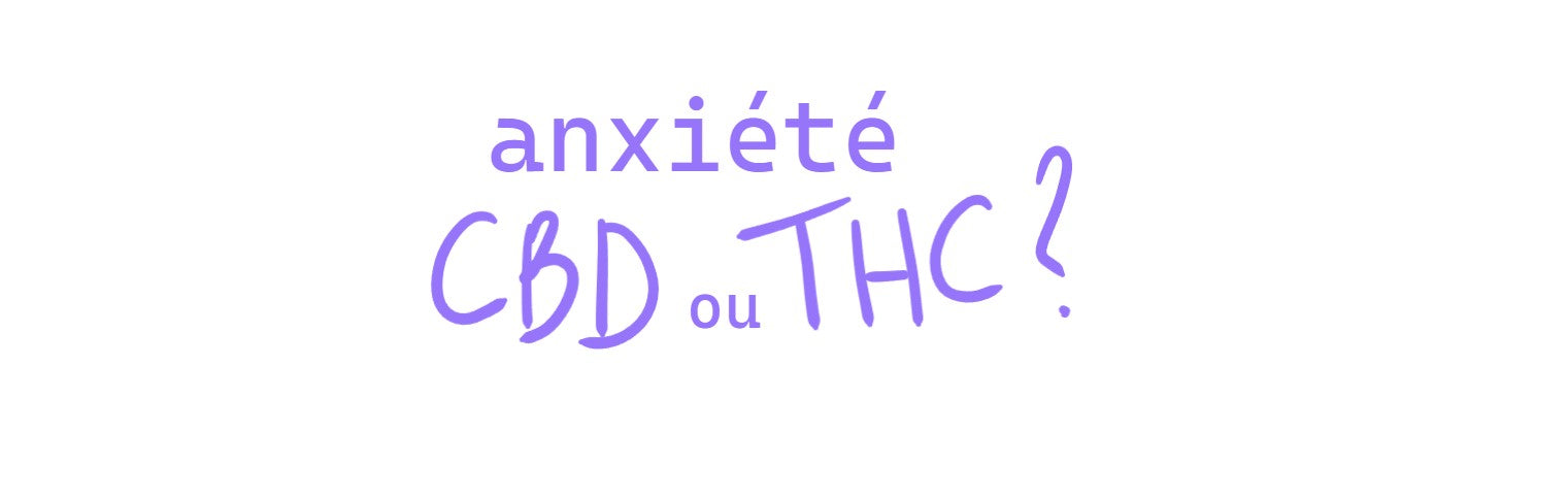 CBD vs THC : lequel est le meilleur pour l'anxiété ?
