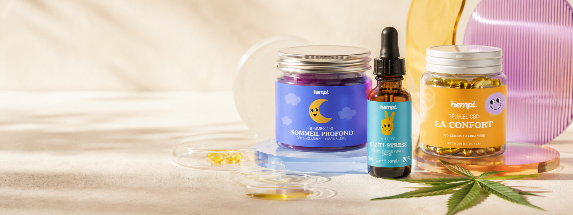 Glossaire CBD : cannabinoïdes et terpènes expliqués (CBD, CBG, CBN, THC…)