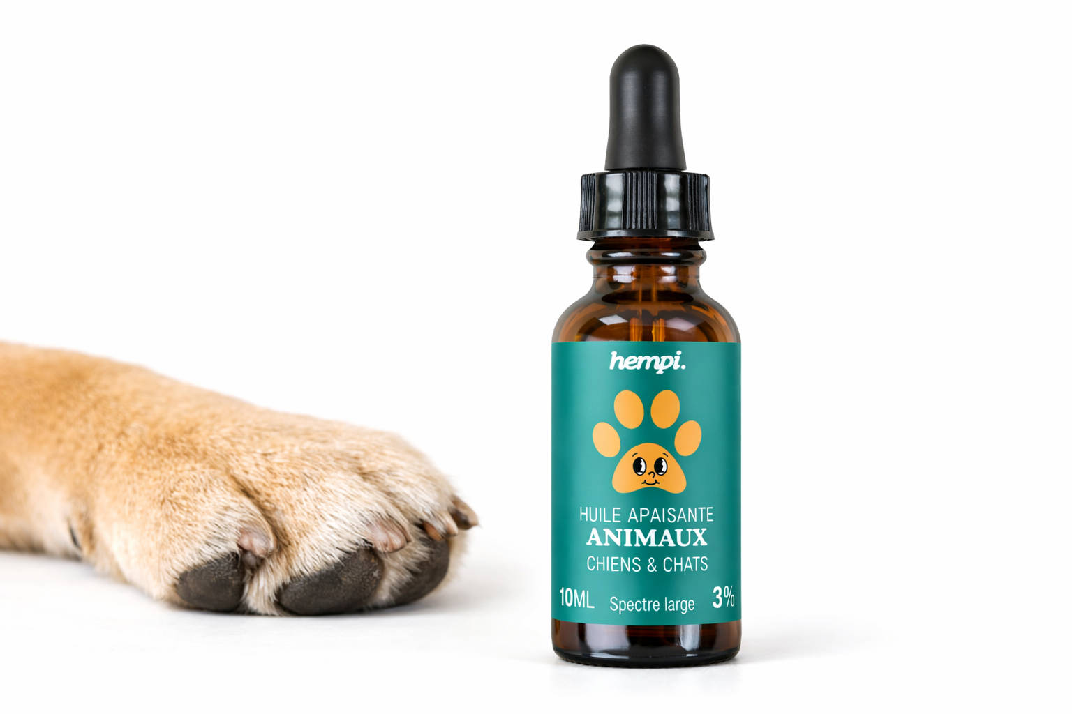 CBD pour chien à arthrose : guide complet, dosage & produits