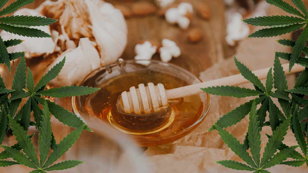 Comment utiliser le miel au CBD ?