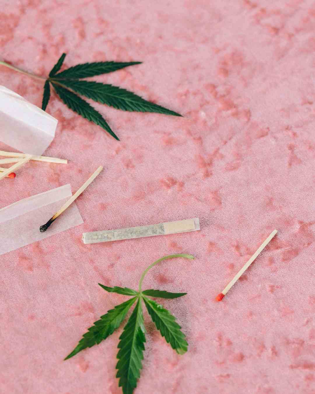 feuille cannabis joint cannabis
