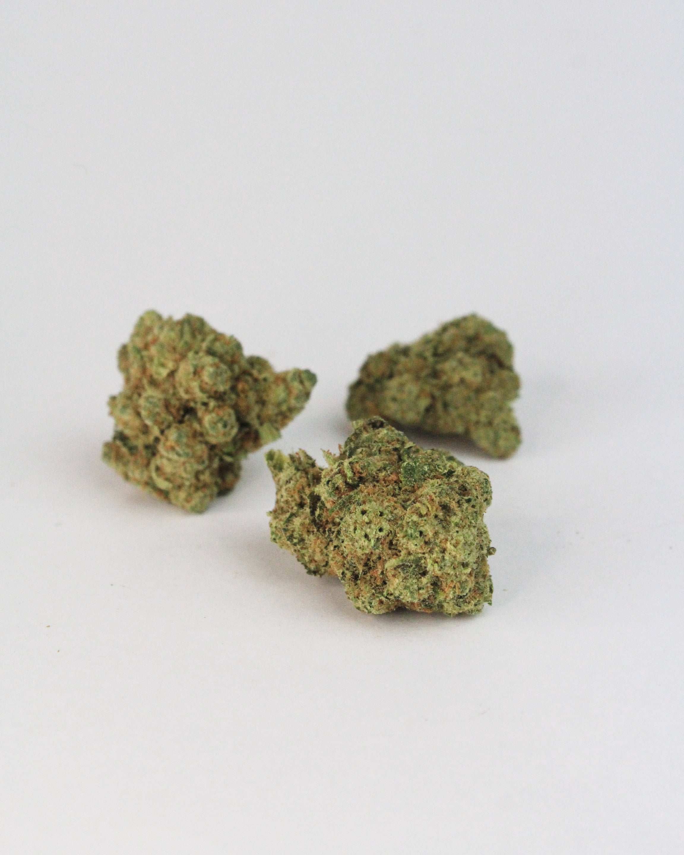 amnesia fleurs de cbd
