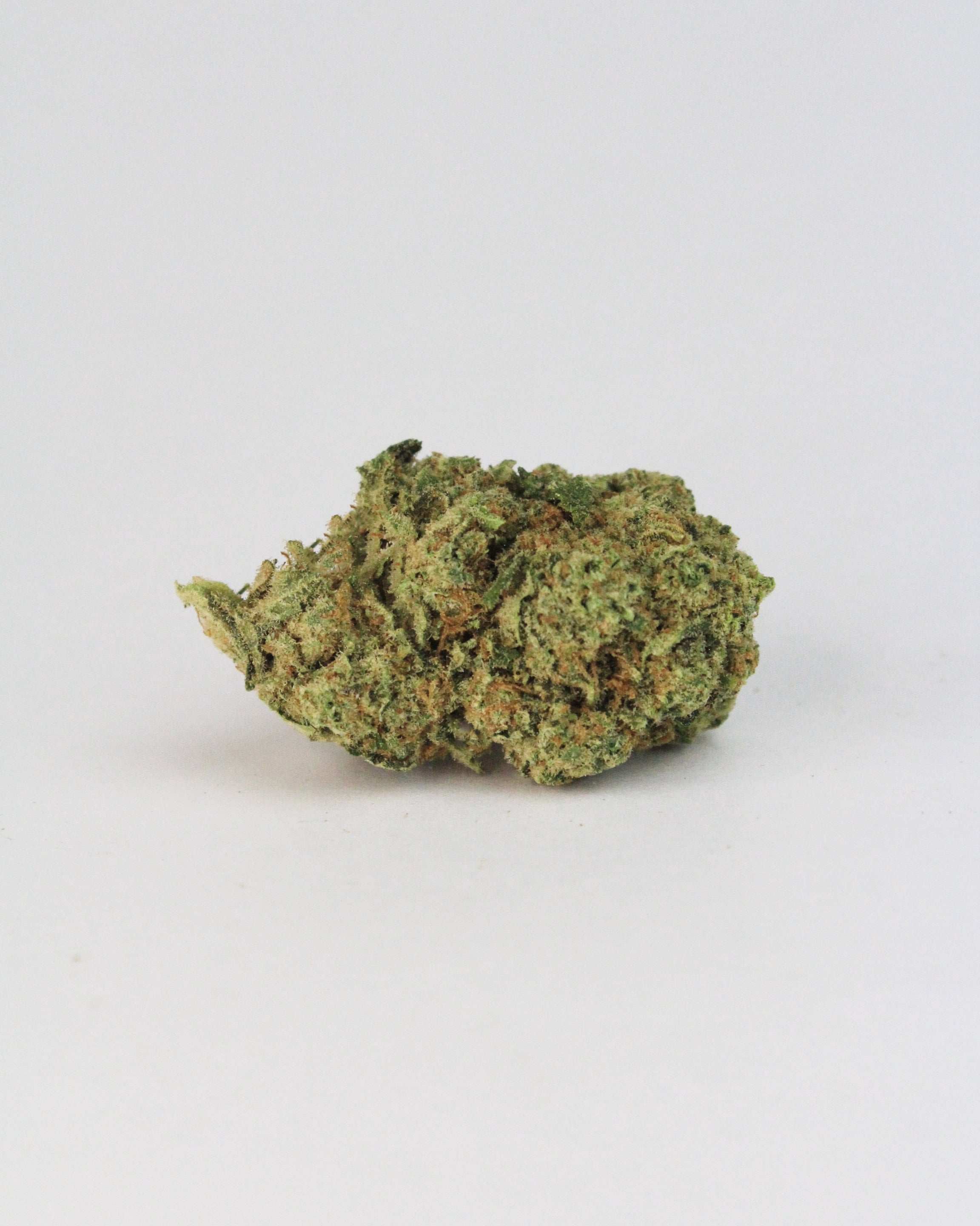 amnesia fleurs de cbd