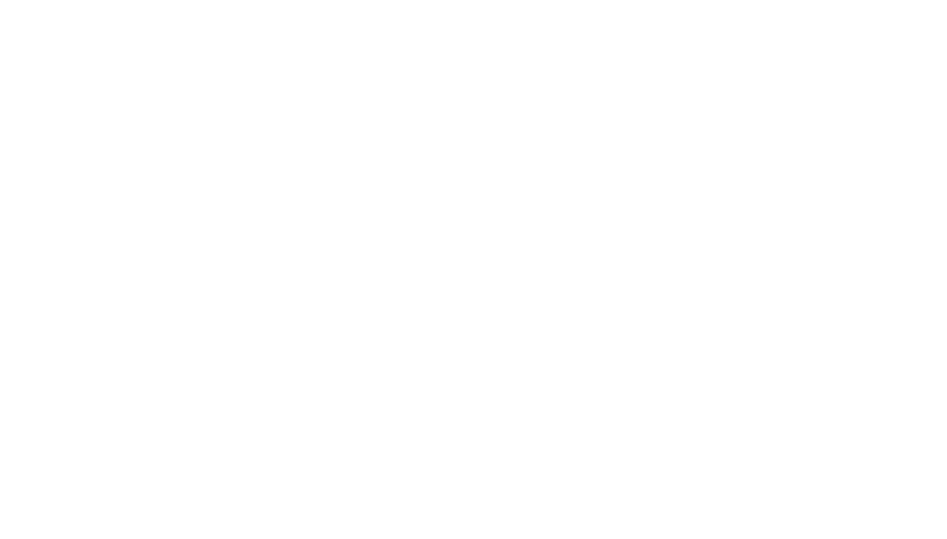 HEMPI 