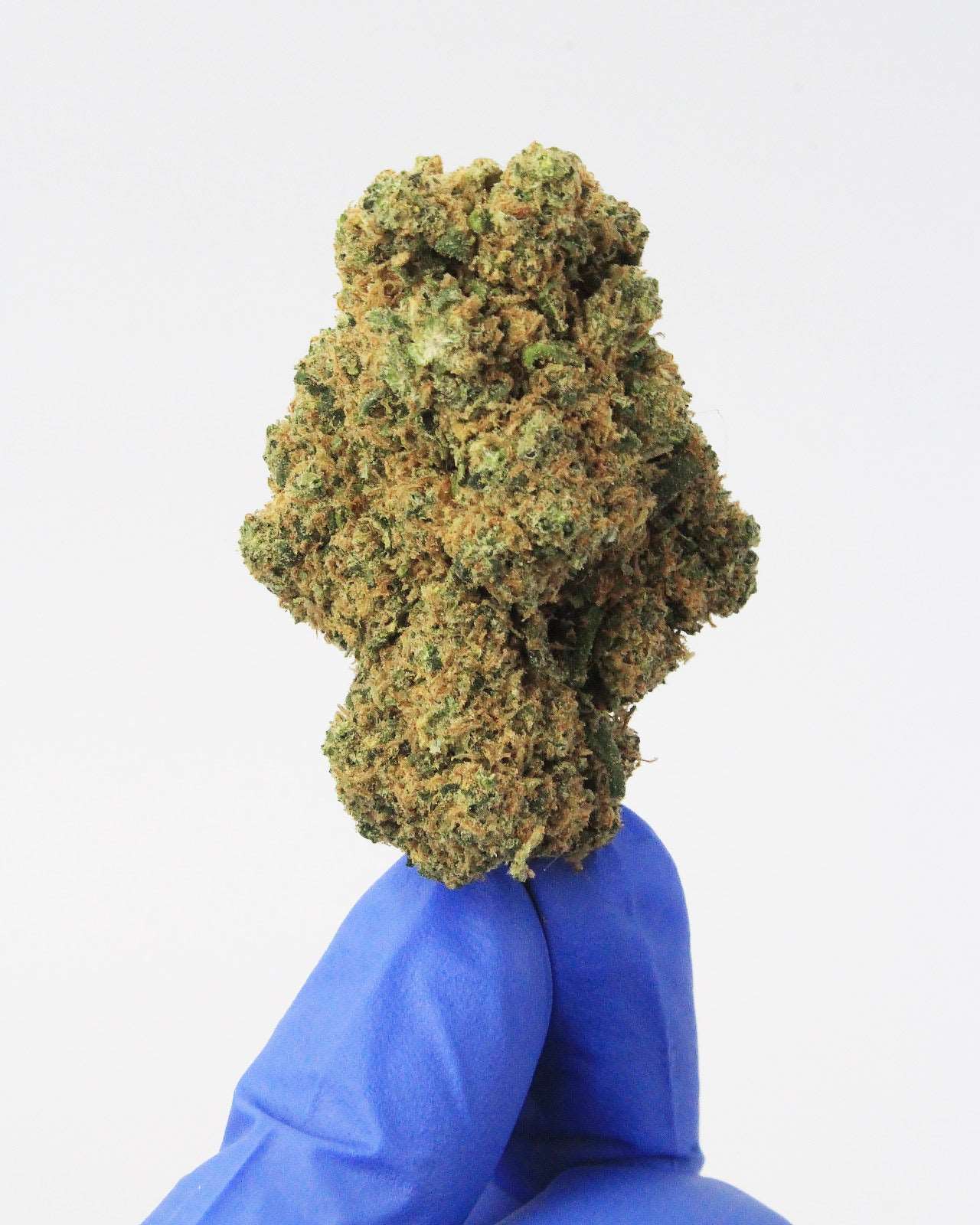 CBD de interior Orange Bud