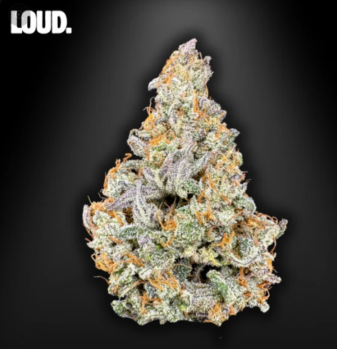 Rainbow Sherbet - Indoor CBD Premium - 3.5G