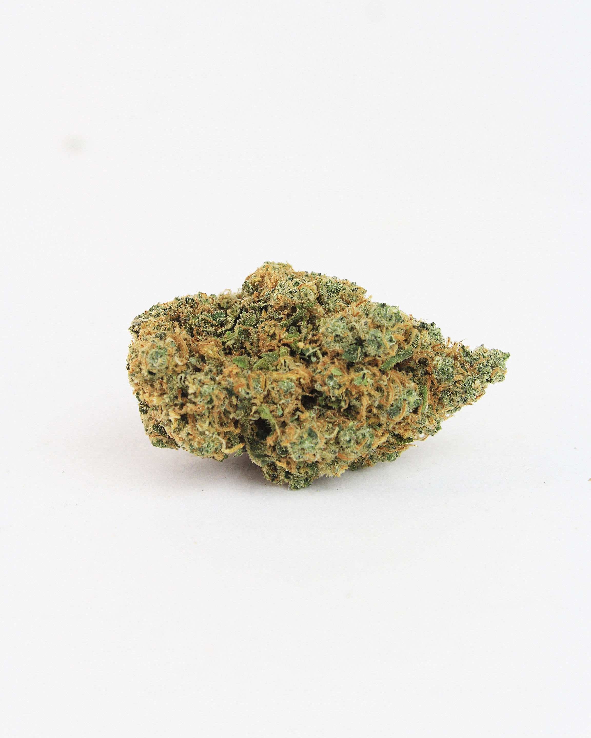 blue berry muffin cbd indoor 