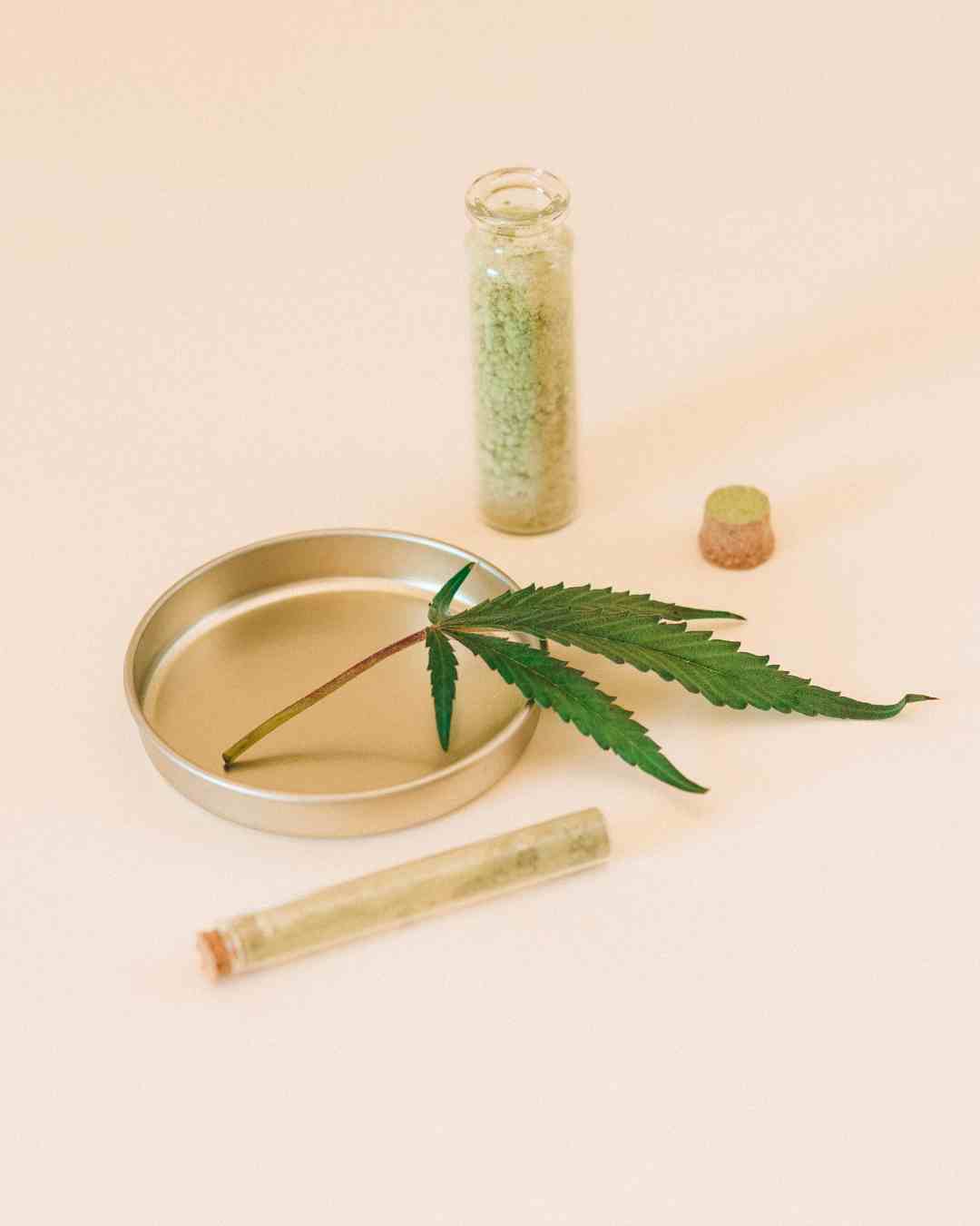 feuille de cannabis et pollen