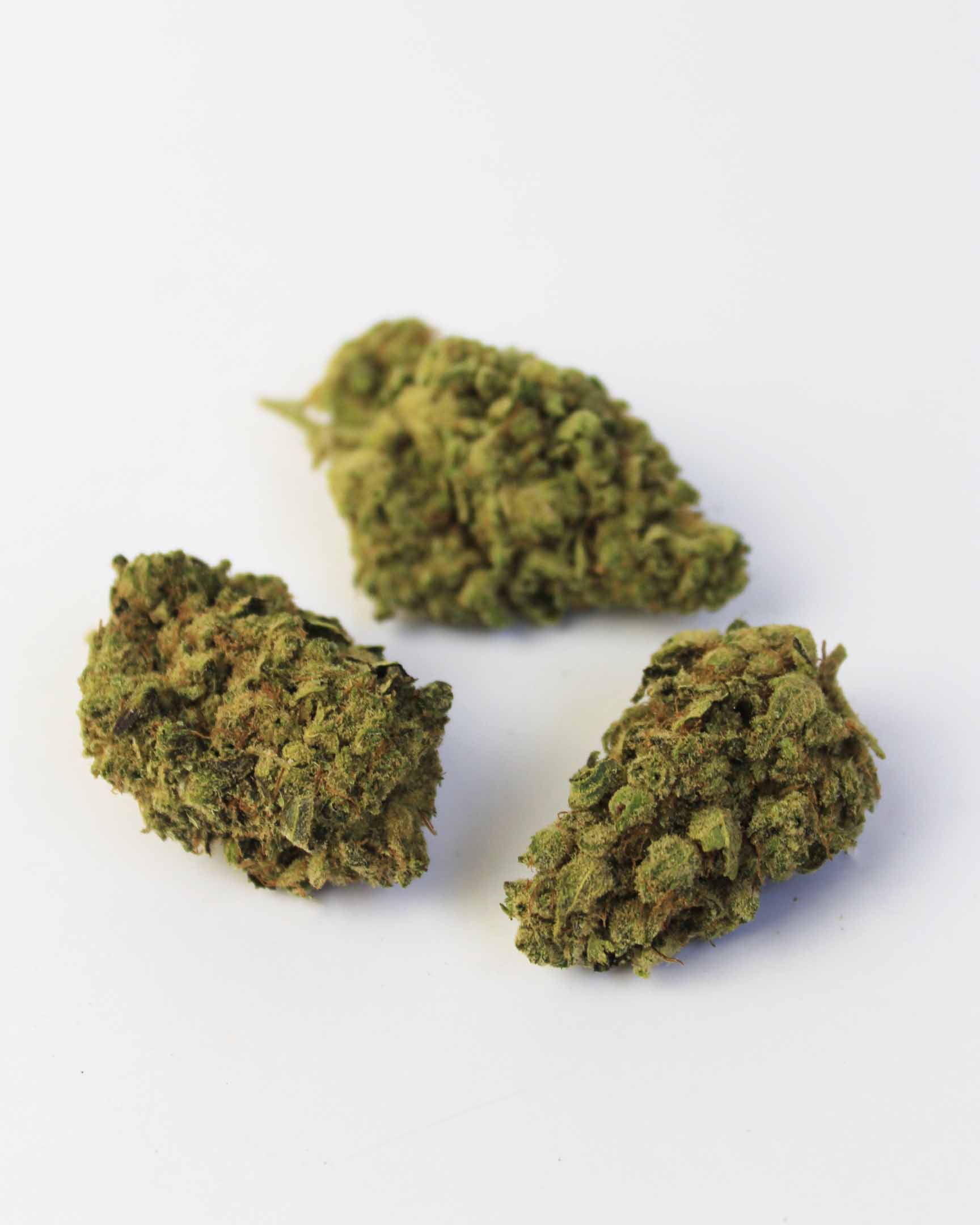 fleurs de cbd gushers puissante cannabis pas cher