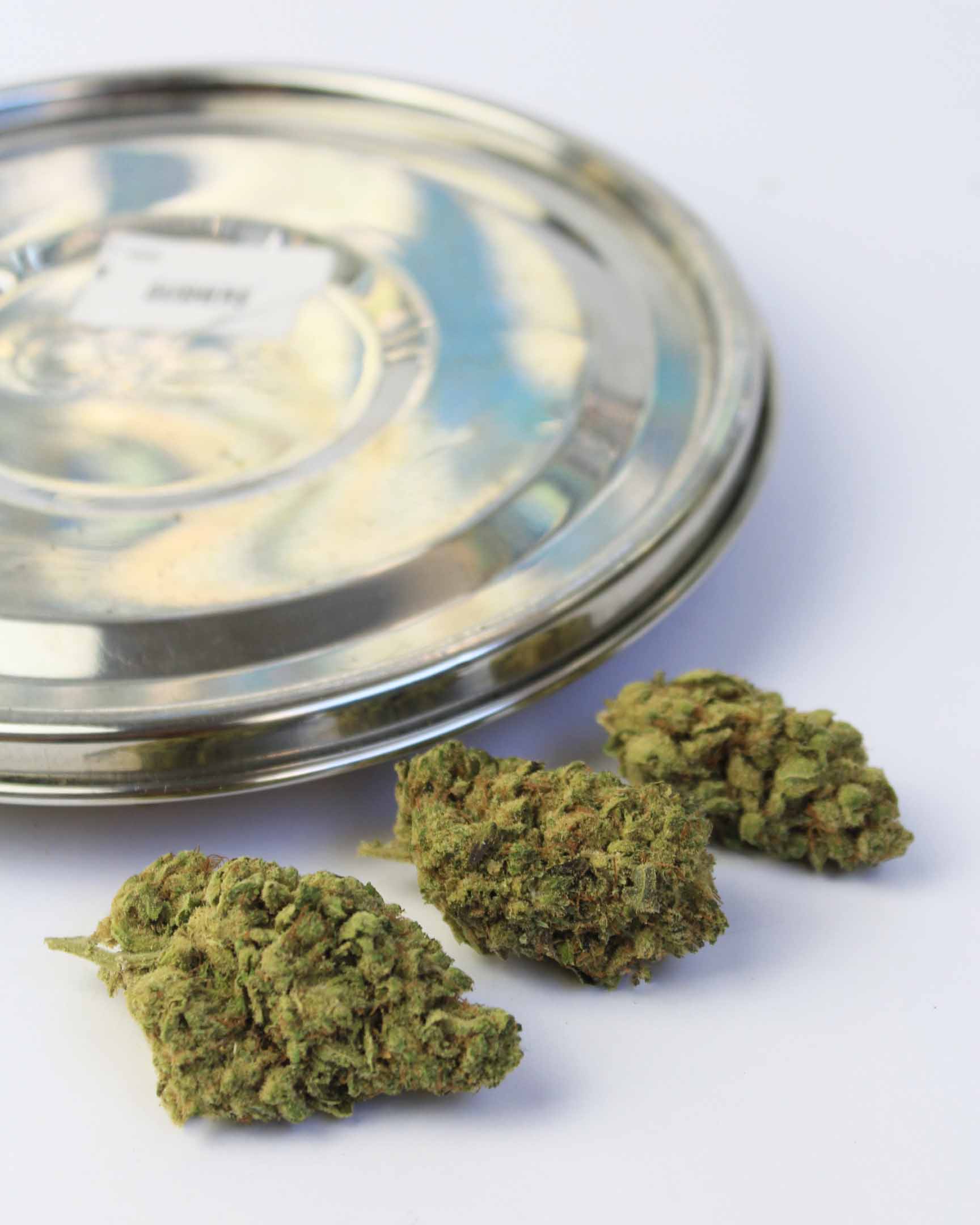 fleurs de cbd gushers puissante cannabis pas cher