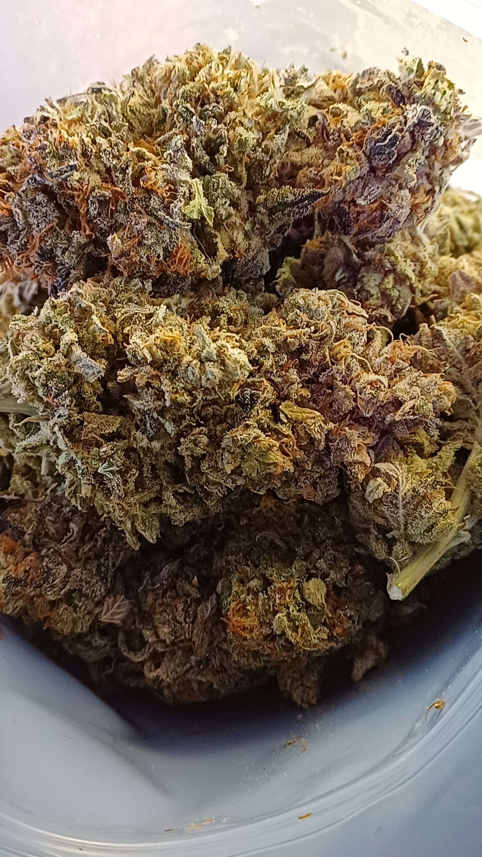 Lilac fuel- Indoor CBD - 1G | 3,5G | 7G