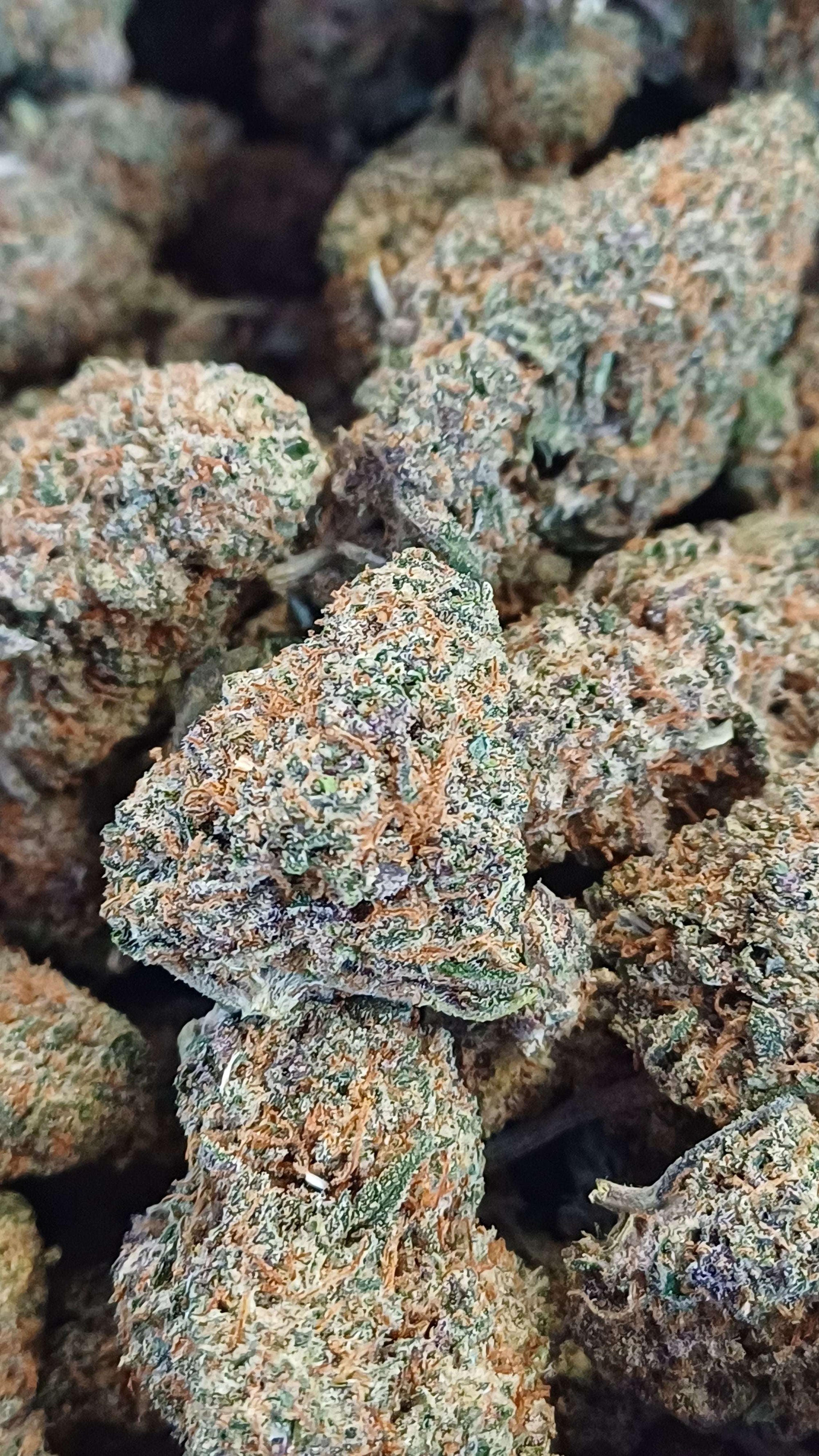 Orange Sunrise - Indoor CBD - 1G | 3,5G | 7G