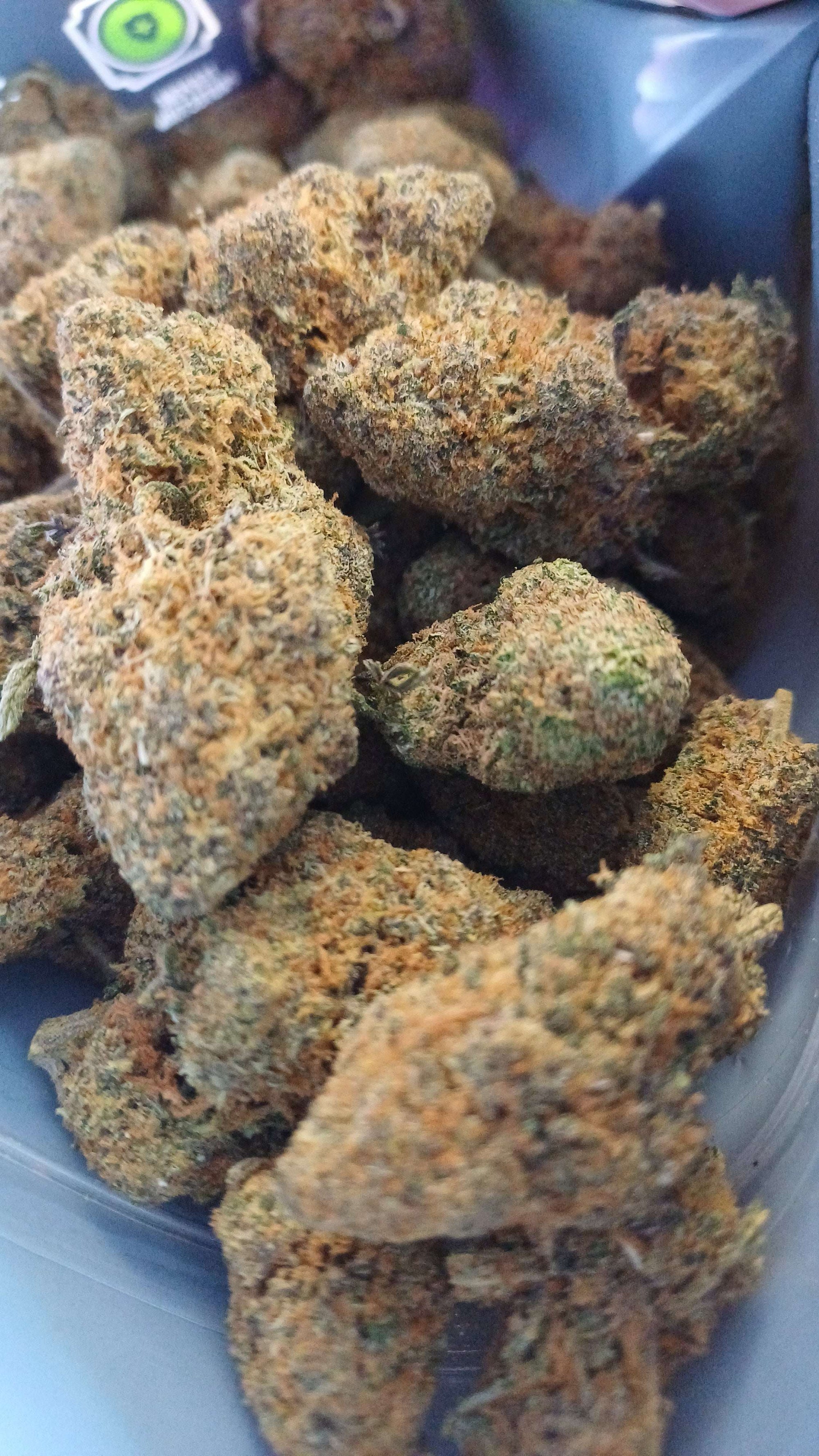 Rainbow Sherbet 12 - Indoor CBD - 1G | 3,5G | 7G