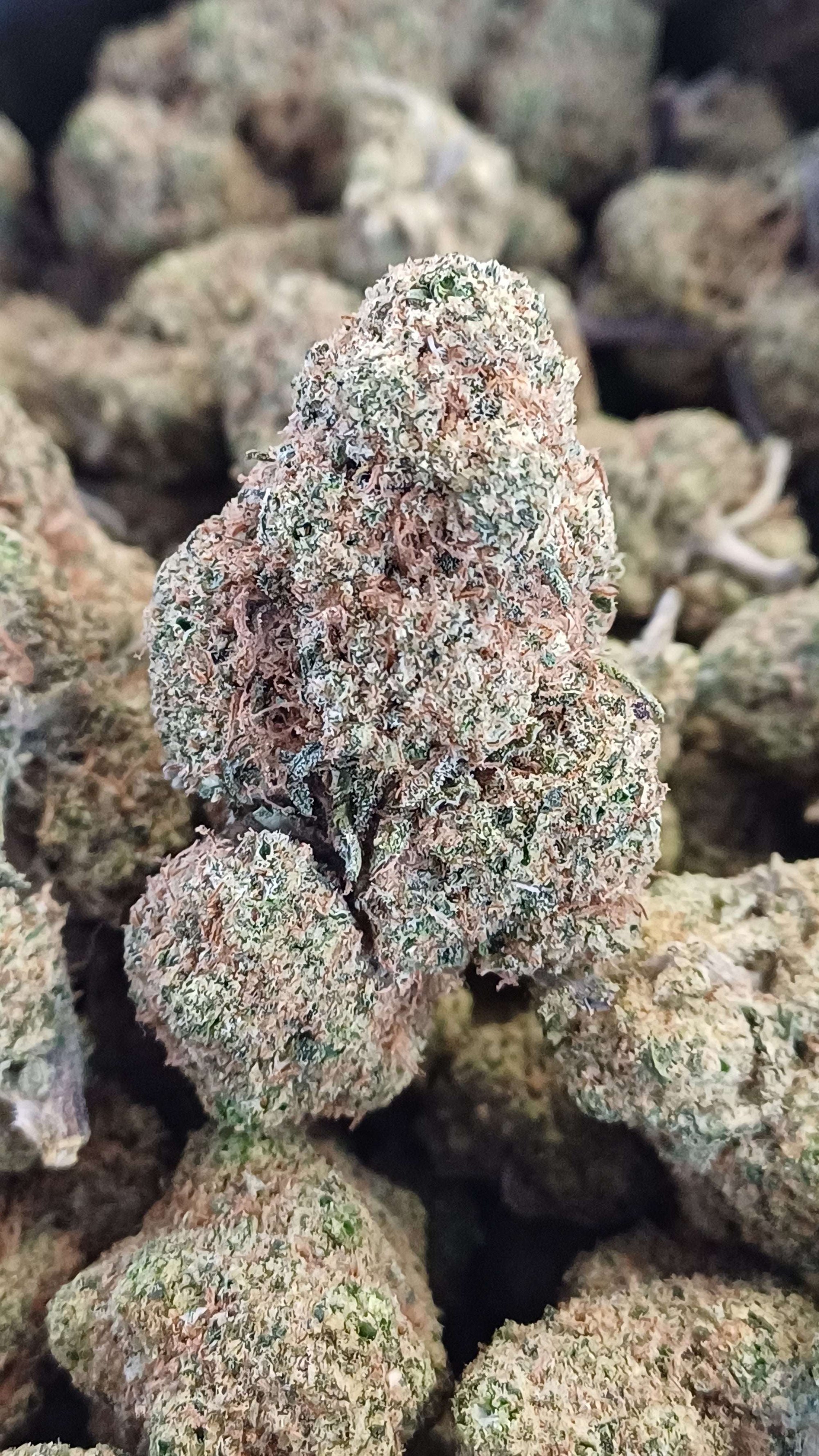 Angel Cake - Indoor CBD - 1G | 3,5G | 7G