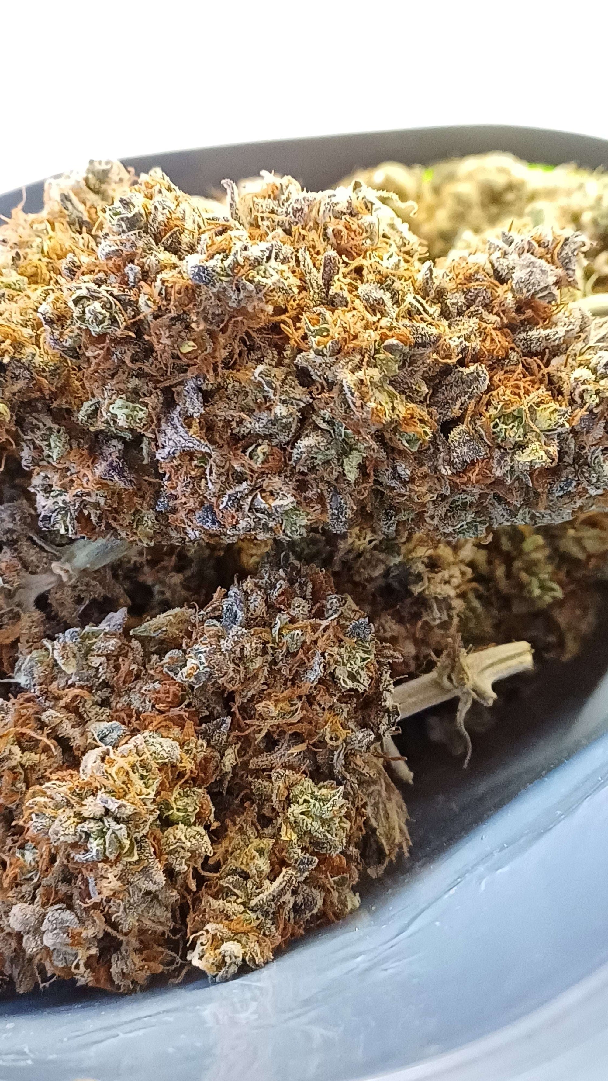 Alien Diesel- Indoor CBD - 1G | 3,5G | 7G