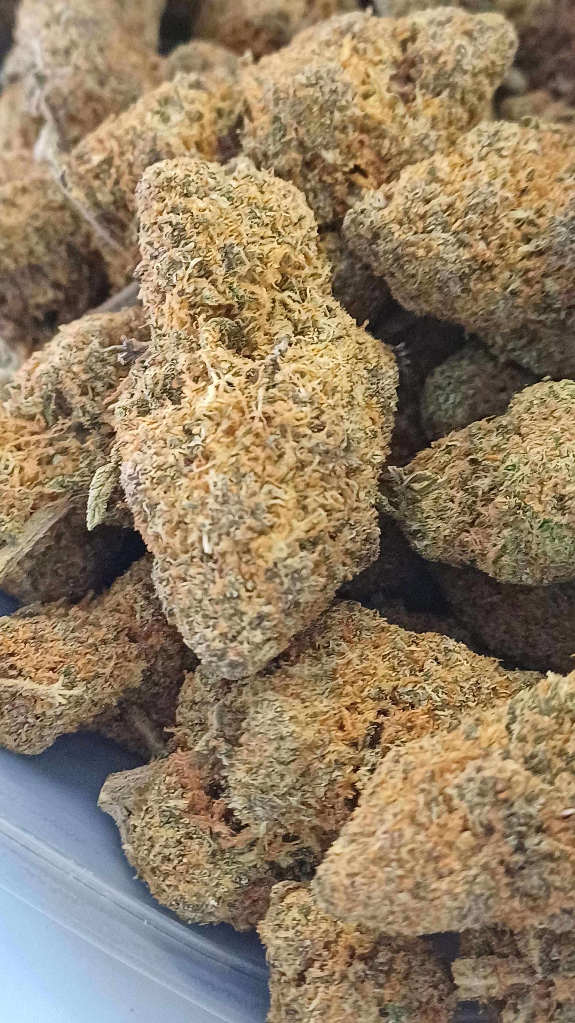 Rainbow Sherbet 12 - Indoor CBD - 1G | 3,5G | 7G