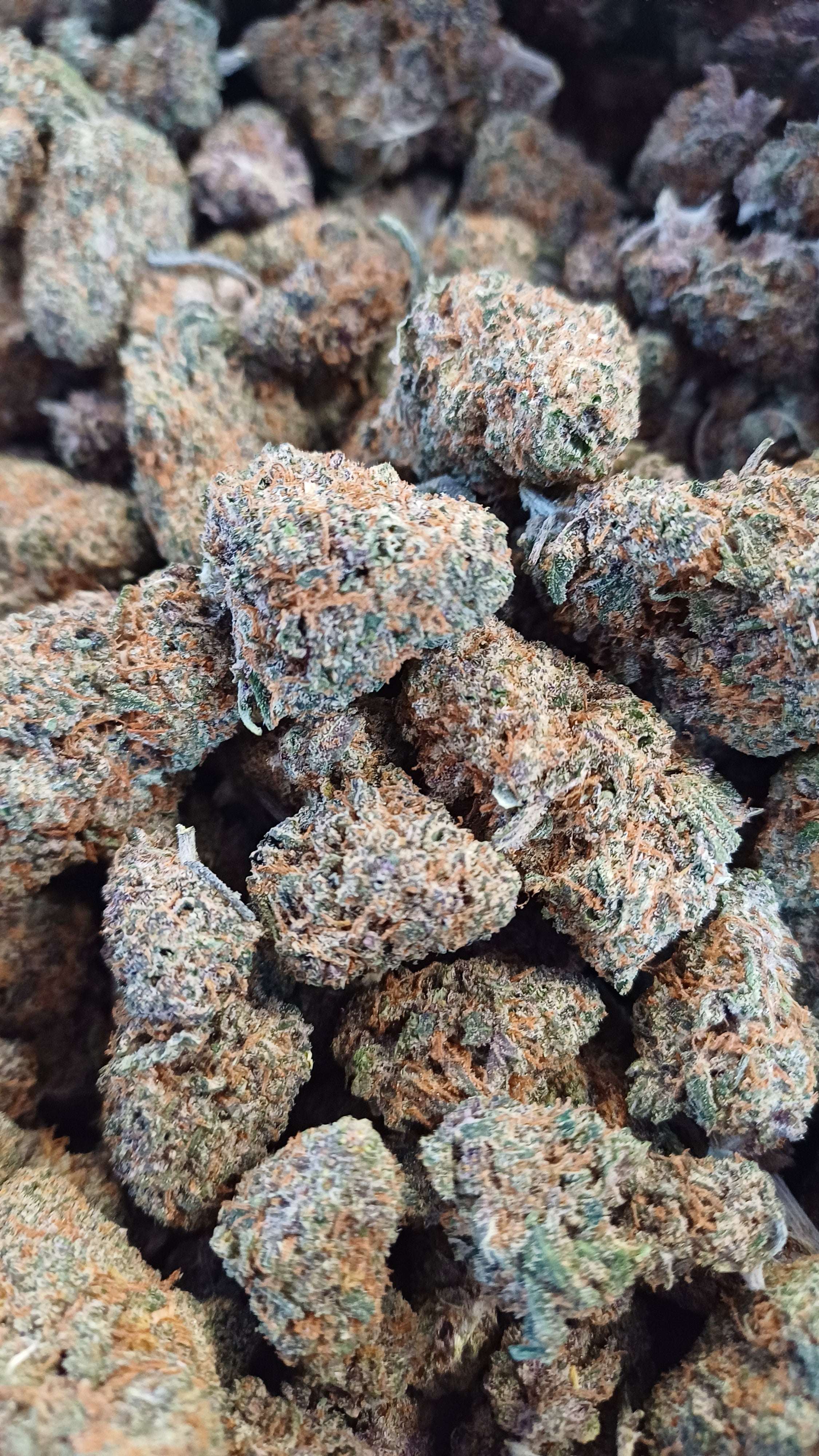 Orange Sunrise - Indoor CBD - 1G | 3,5G | 7G