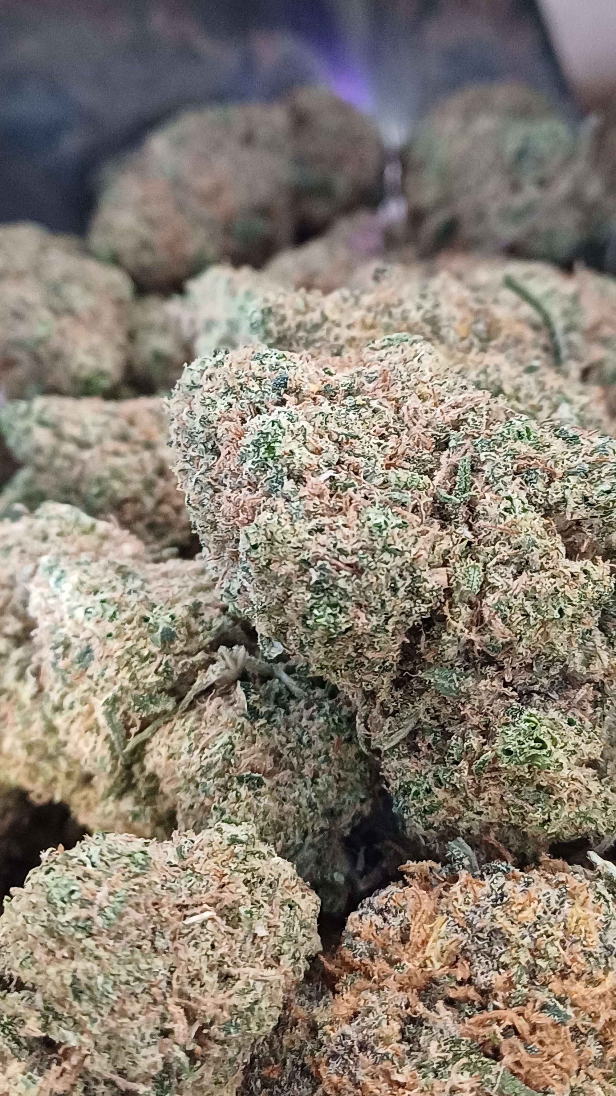 Frosted Lime - Indoor CBD - 1G | 3,5G | 7G