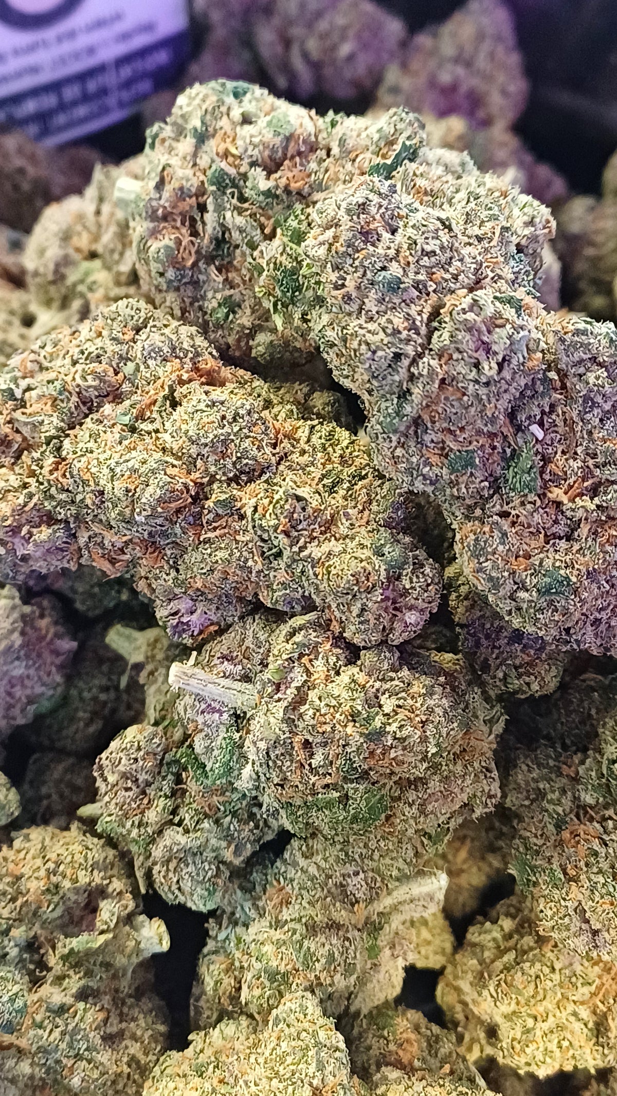 Runtz Muffin CBD indoor - 1G | 3,5G | 7G