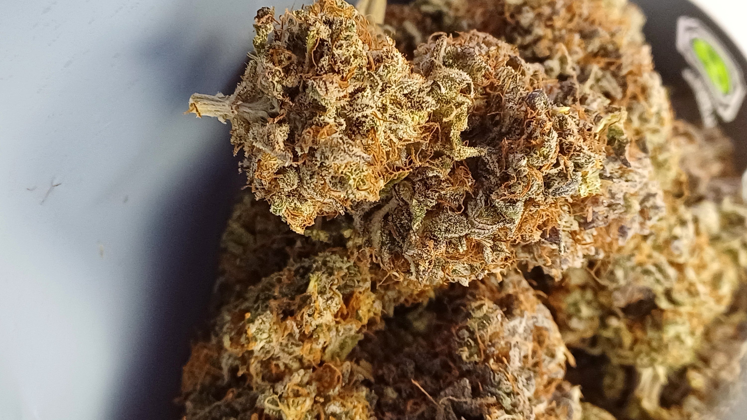 Cotton cream- Indoor CBD - 1G | 3,5G | 7G