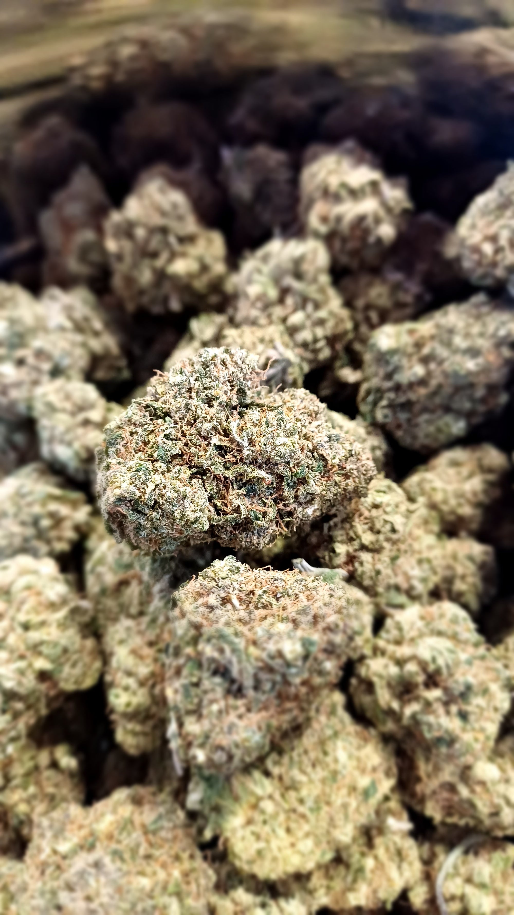 Lemon Zkittlez - Indoor CBD - 1G | 3,5G | 7G