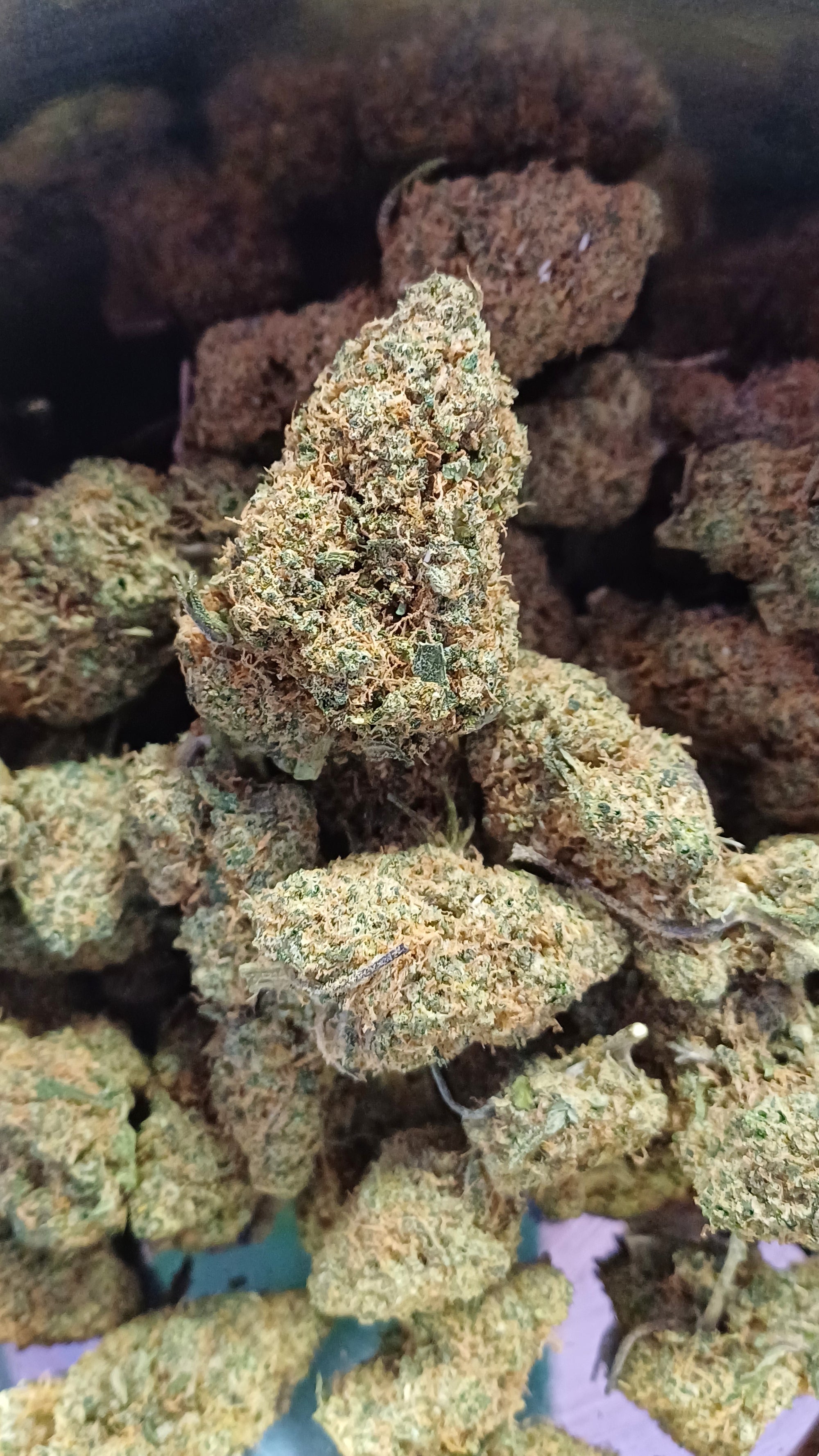 New Amsterdam - Indoor CBD - 1G | 3,5G | 7G