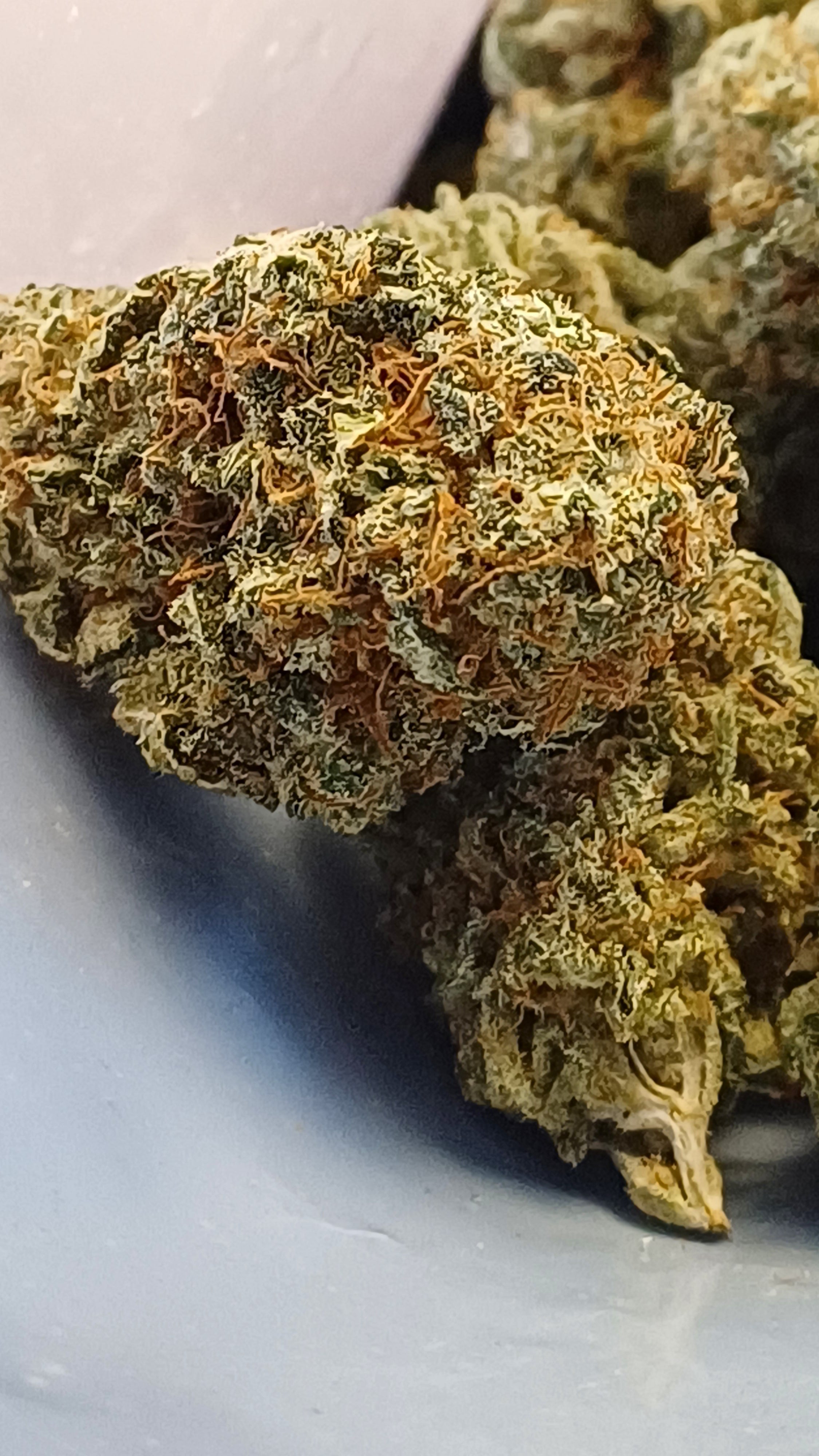 Maracuja - Indoor CBD - 1G | 3,5G | 7G