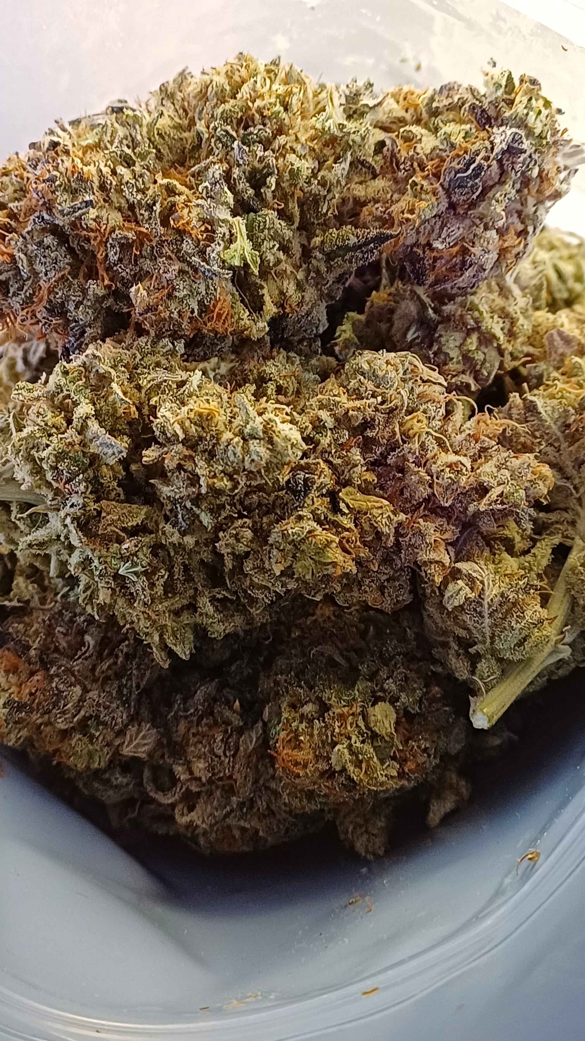 Lilac fuel- Indoor CBD - 1G | 3,5G | 7G