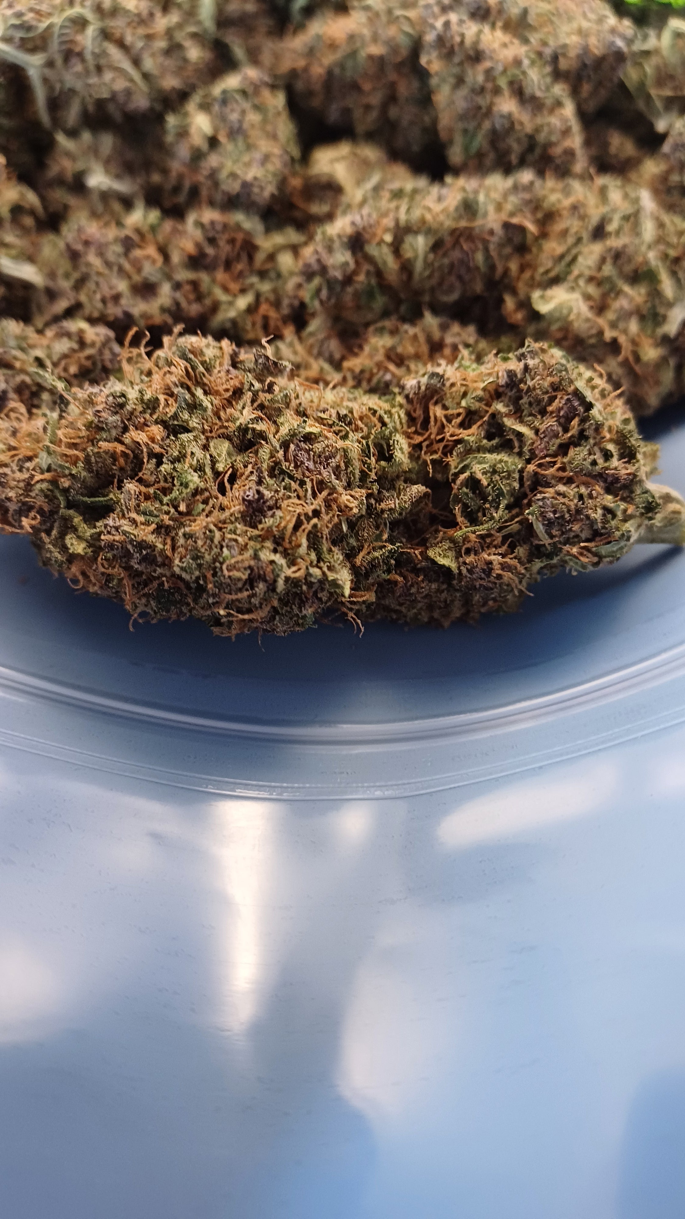Forbidden Fruit - Indoor CBD Premium - 1G | 3,5G | 7G