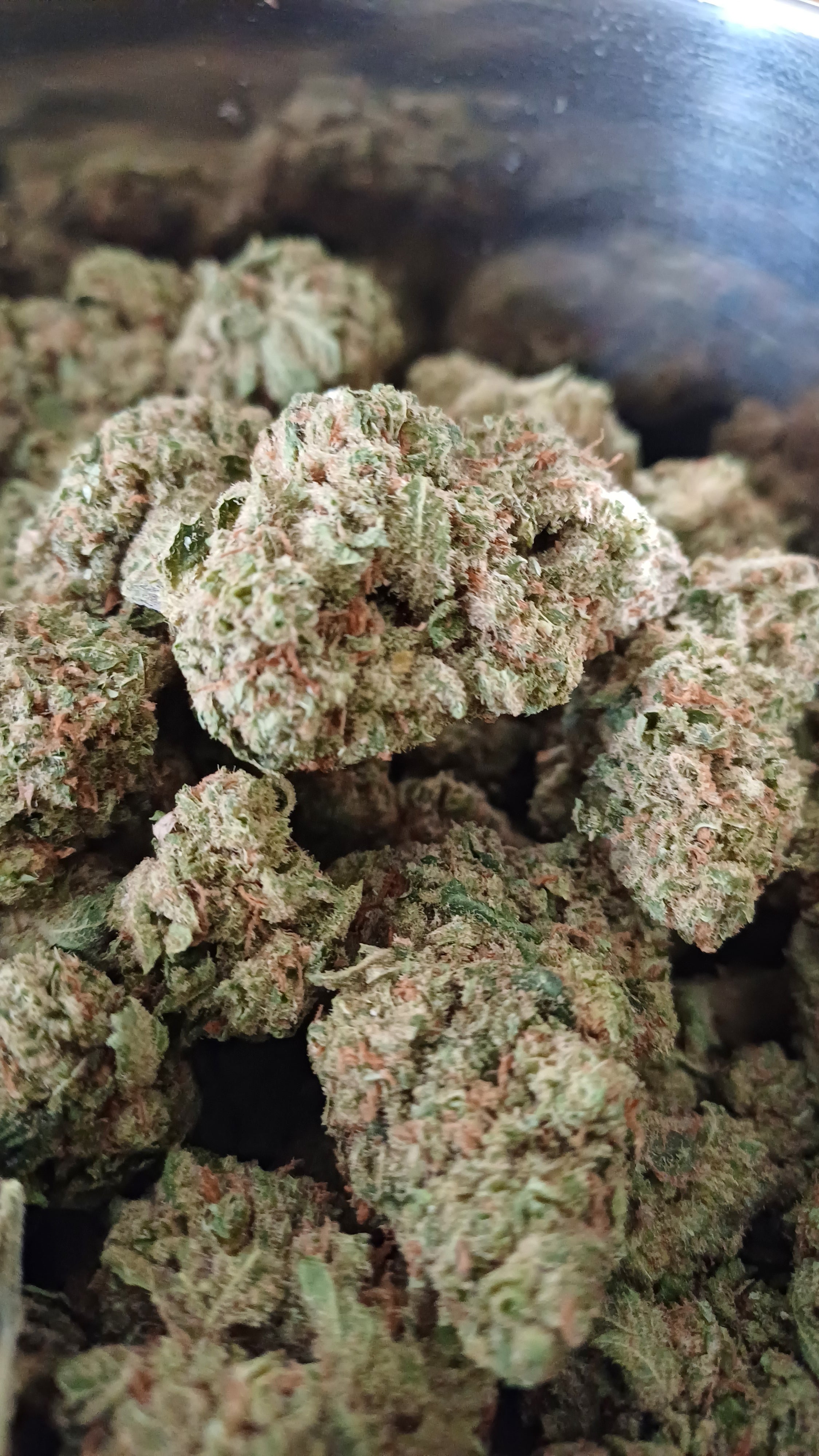 Lemon Meringue Donuts - Indoor CBD - 1G | 3,5G | 7G