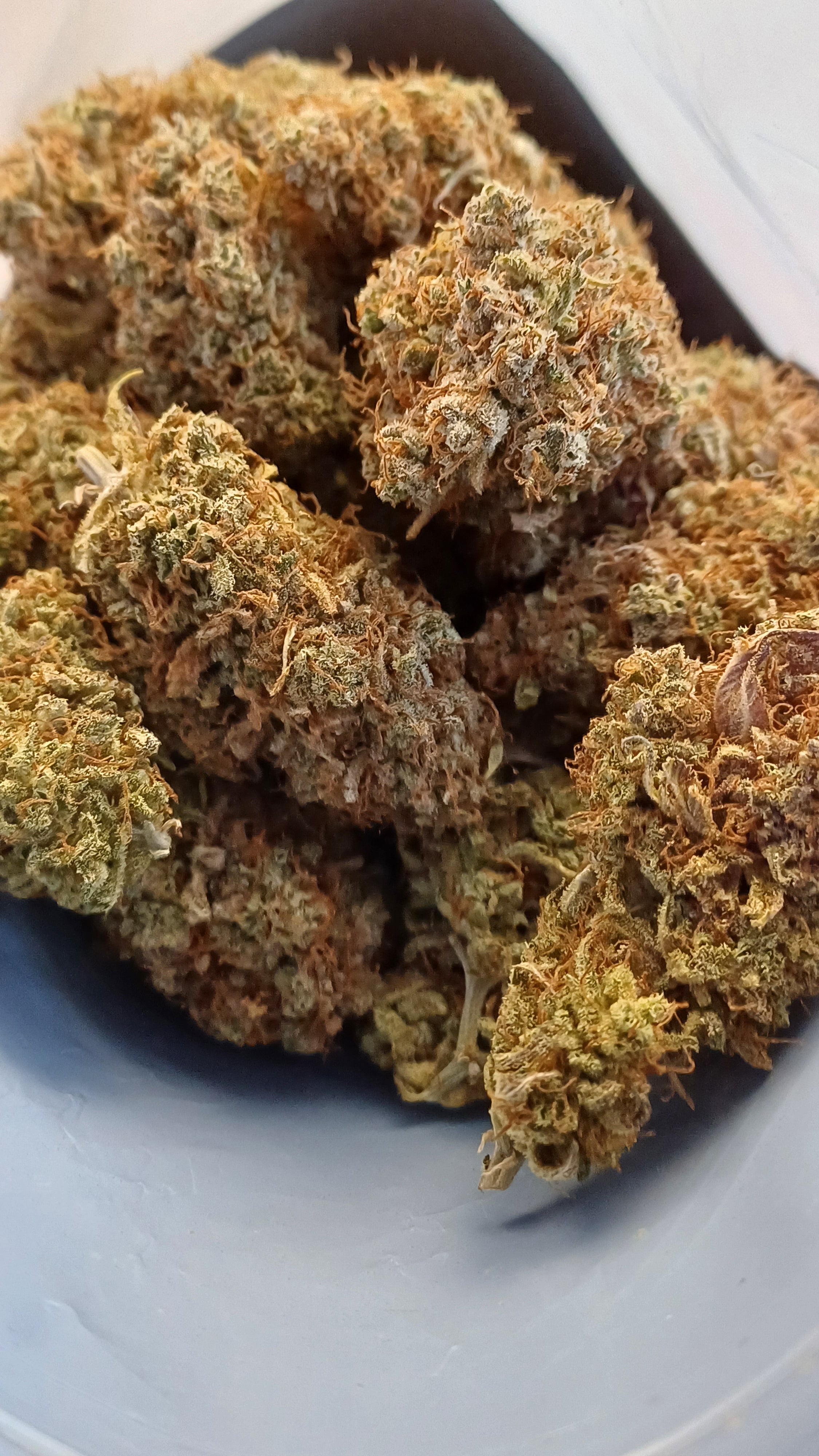 Pineapple Sauvage- Indoor CBD - 1G | 3,5G | 7G