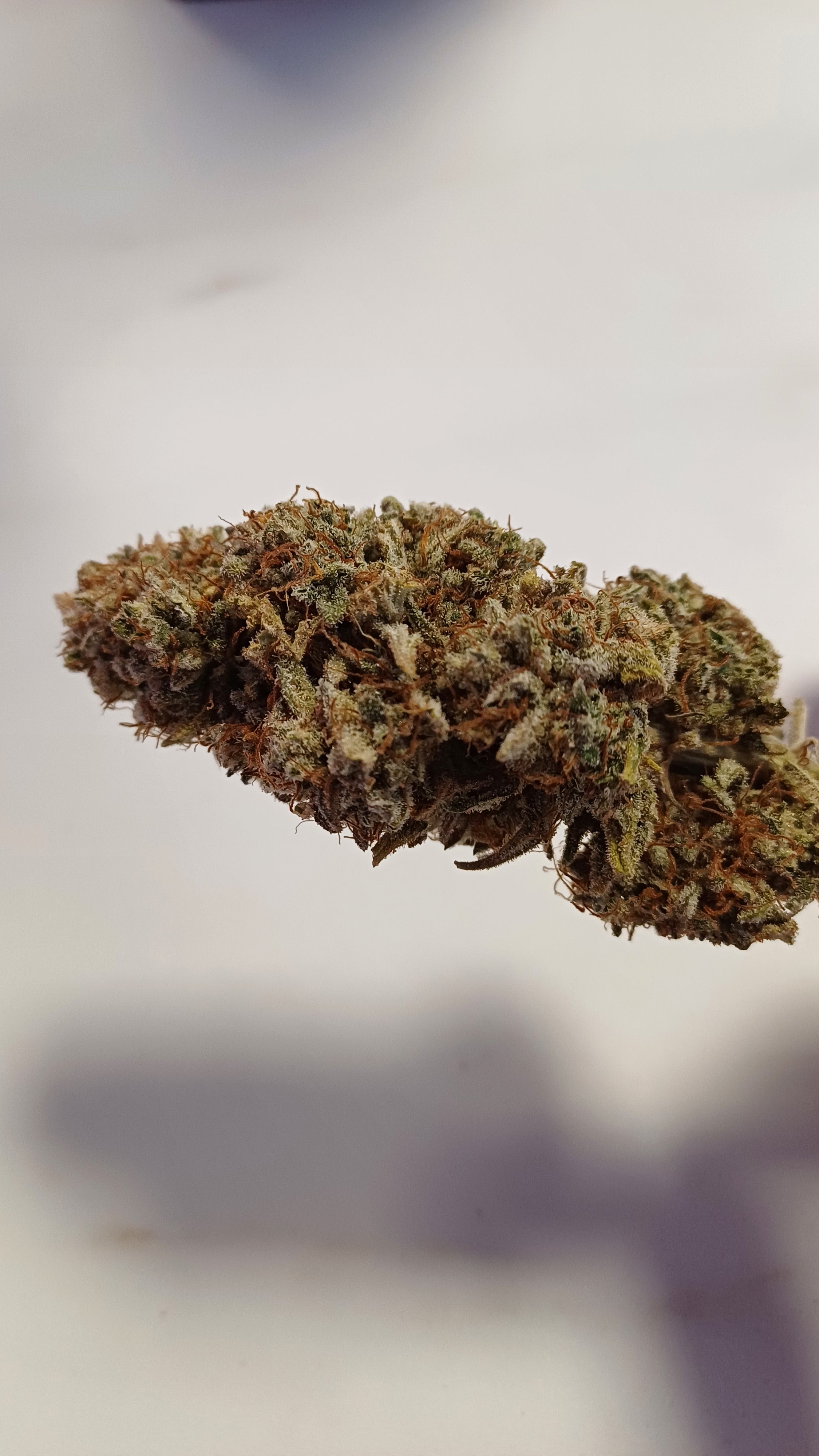 Strawana OG - Indoor CBD - 1G | 3,5G | 7G