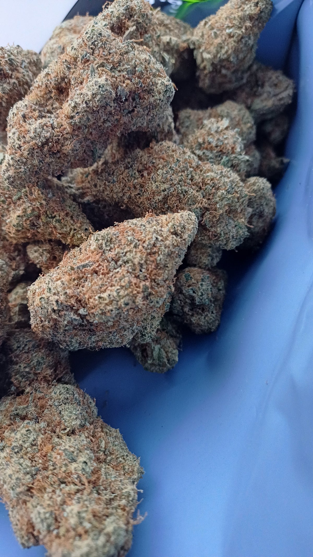 Lifter - Indoor CBD - 1G | 3,5G | 7G
