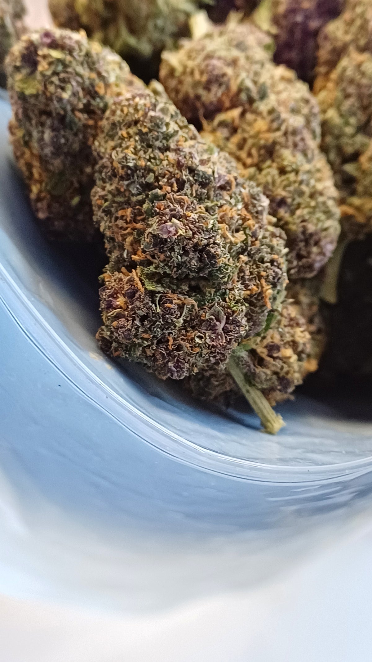 Rocket Sauce- Indoor CBD - 1G | 3,5G | 7G