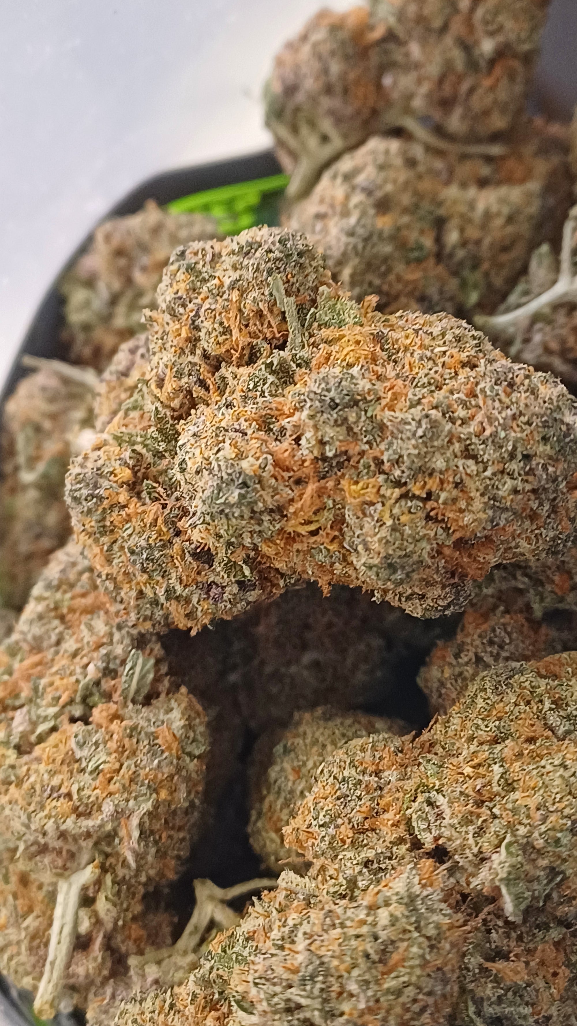 Rainbow Sherbet 63 - Indoor CBD - 1G | 3,5G | 7G