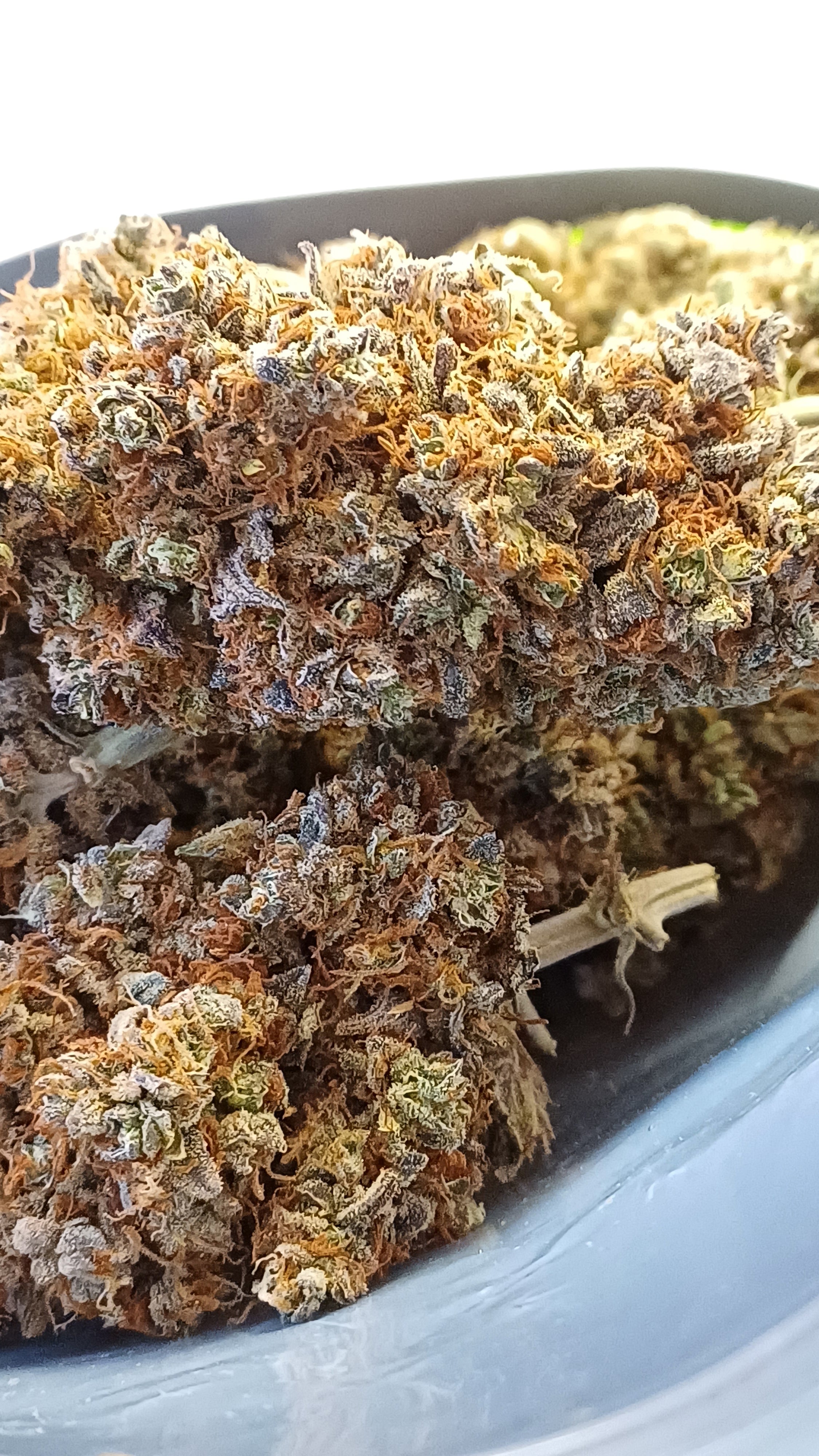 Alien Diesel- Indoor CBD - 1G | 3,5G | 7G