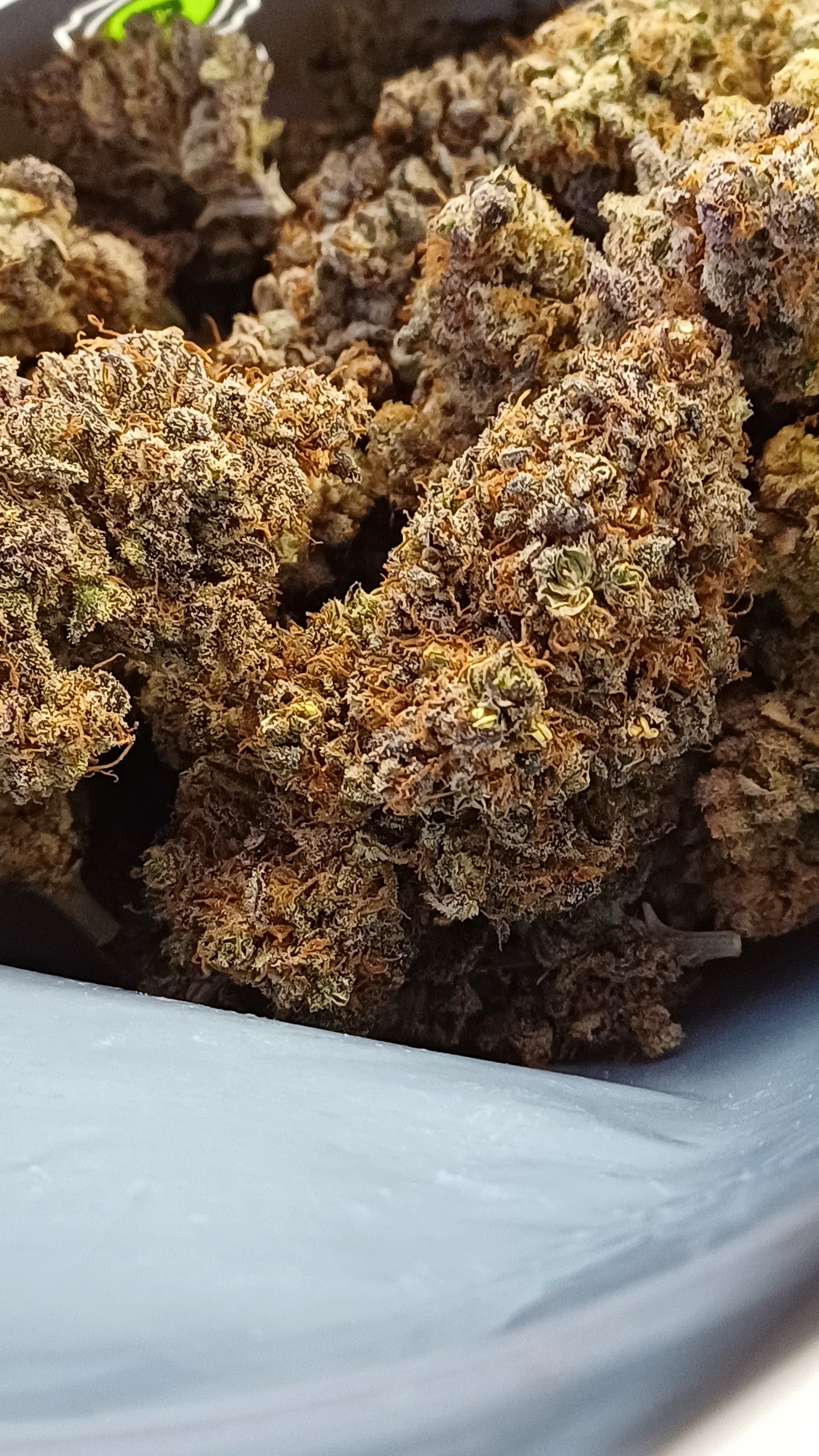 Lemon Leather - Indoor CBD - 1G | 3,5G | 7G