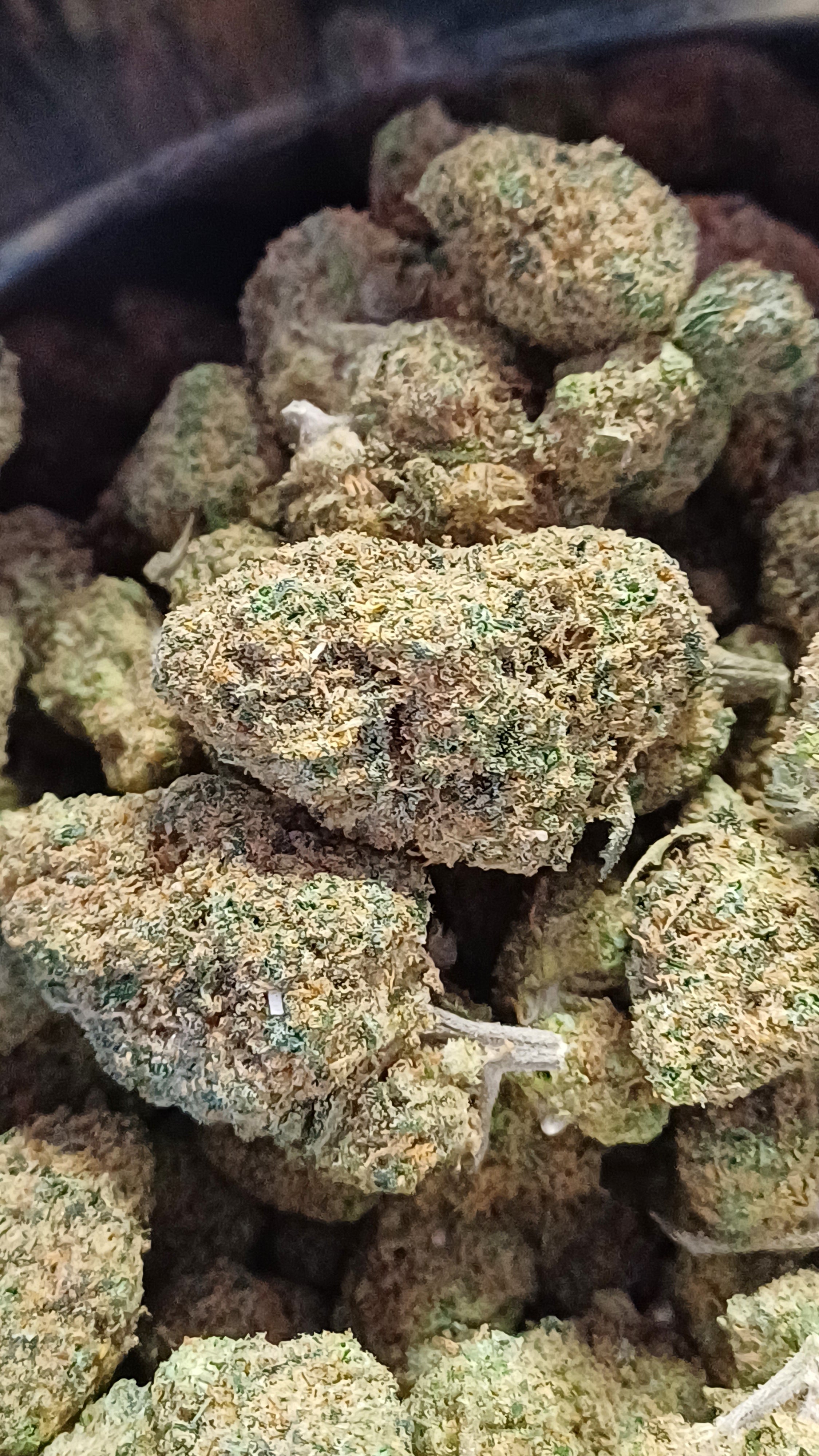 Gelato - Indoor CBD - 1G | 3,5G | 7G